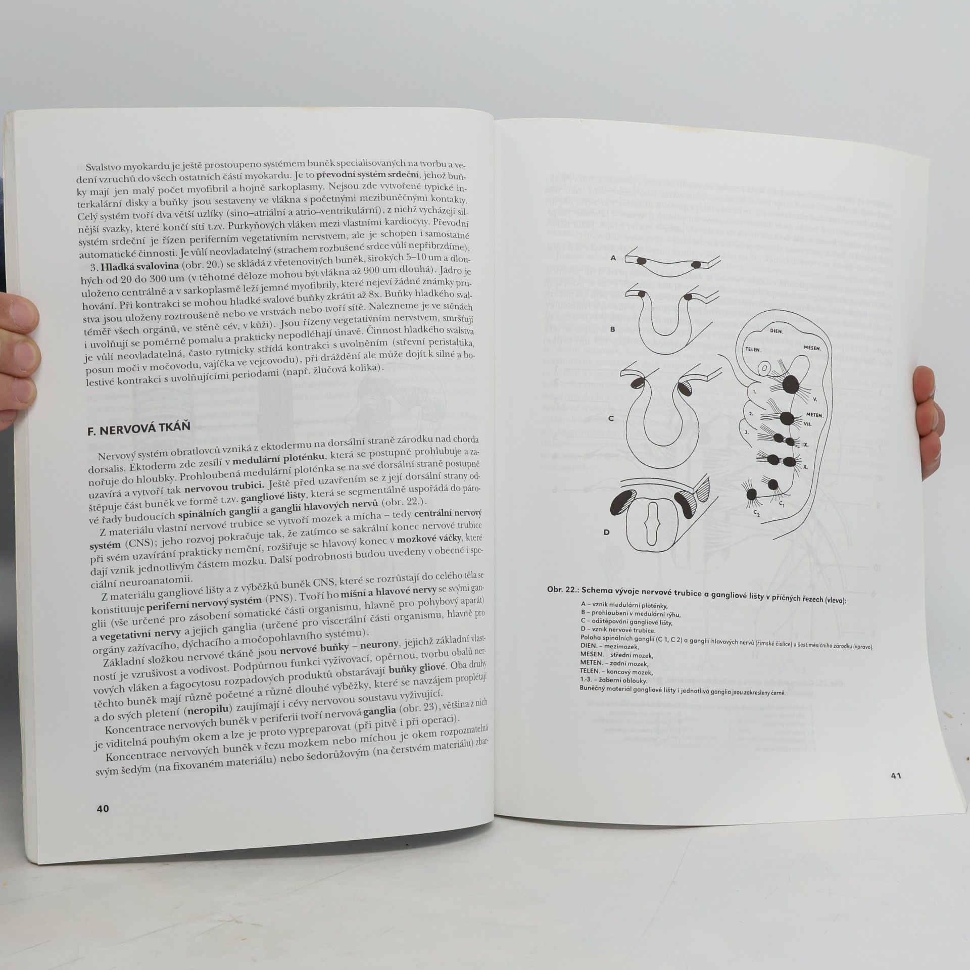 Pavel Petrovický Systematická, topografická a klinická Anatomie I.