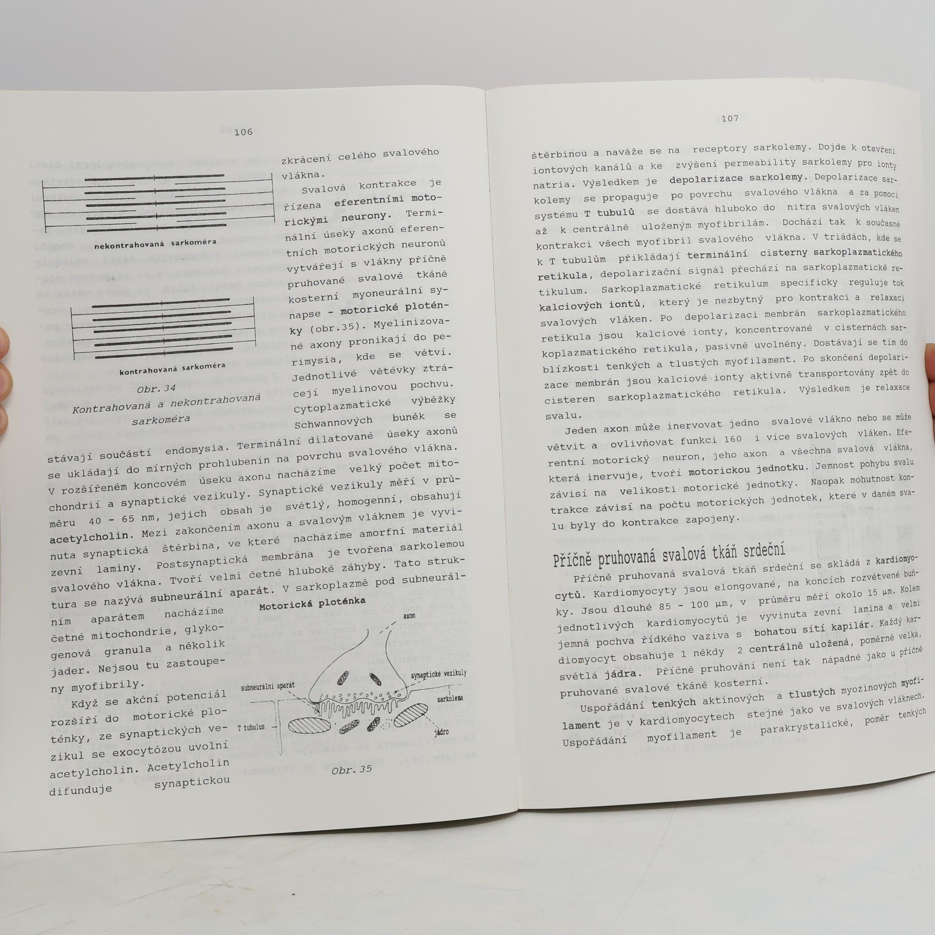 Václava Konrádová Histologie