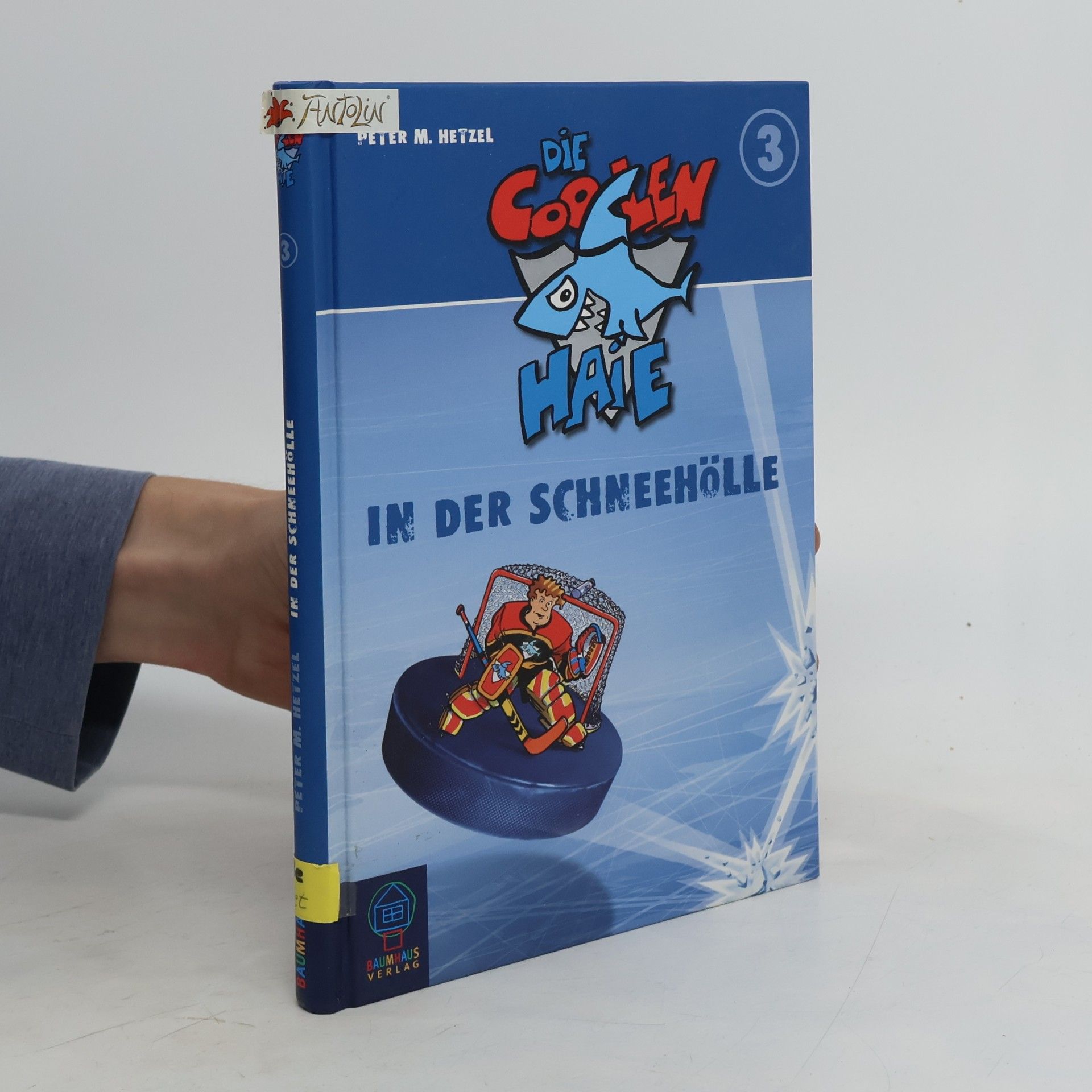 Die Coolen Haie - 3: In der Schneehölle