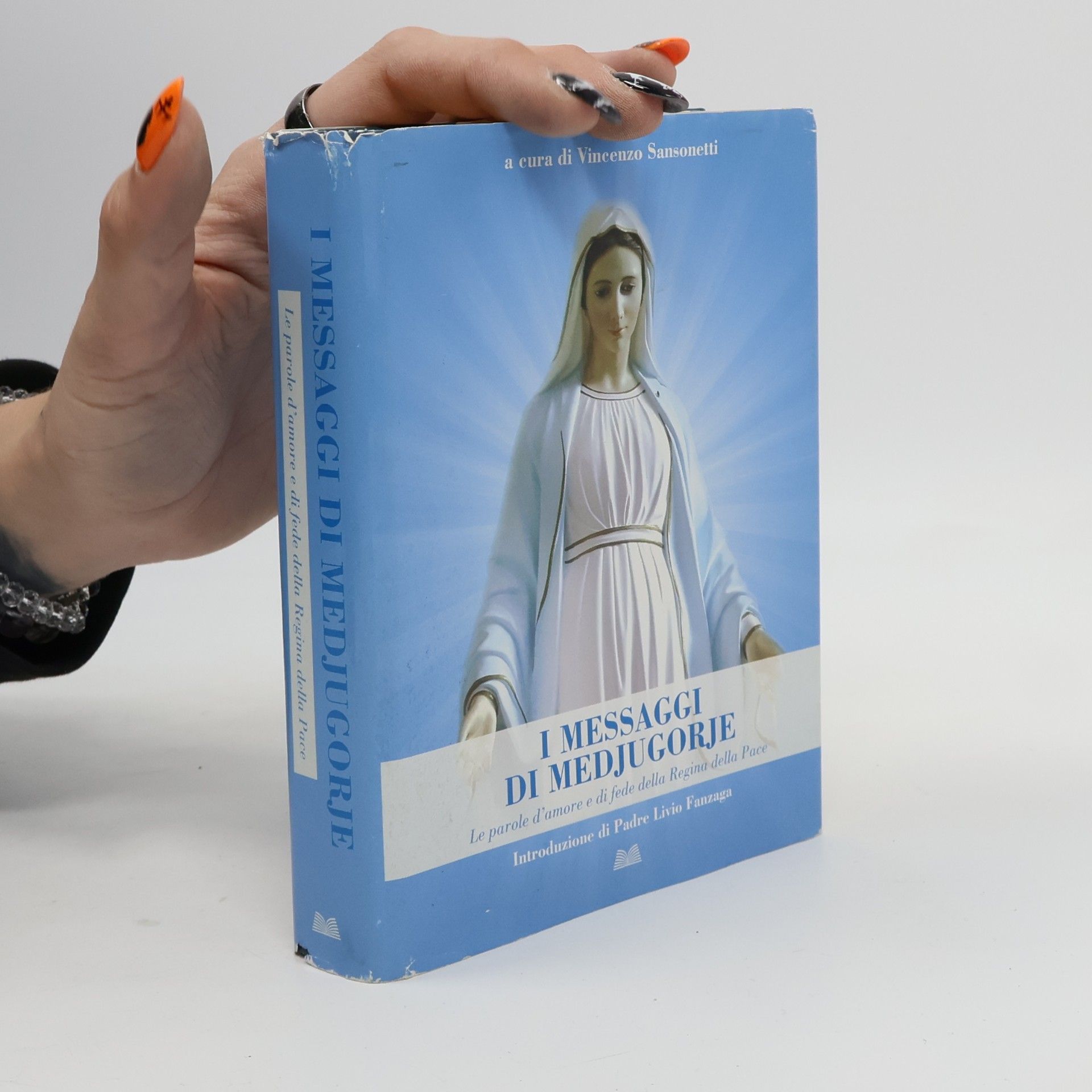 Various authors I messaggi di medjugorje