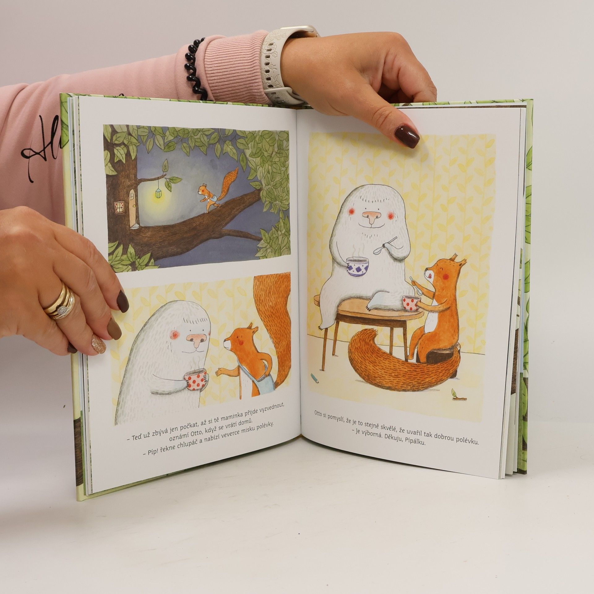 Marianne Dubuc Já nejsem tvoje maminka