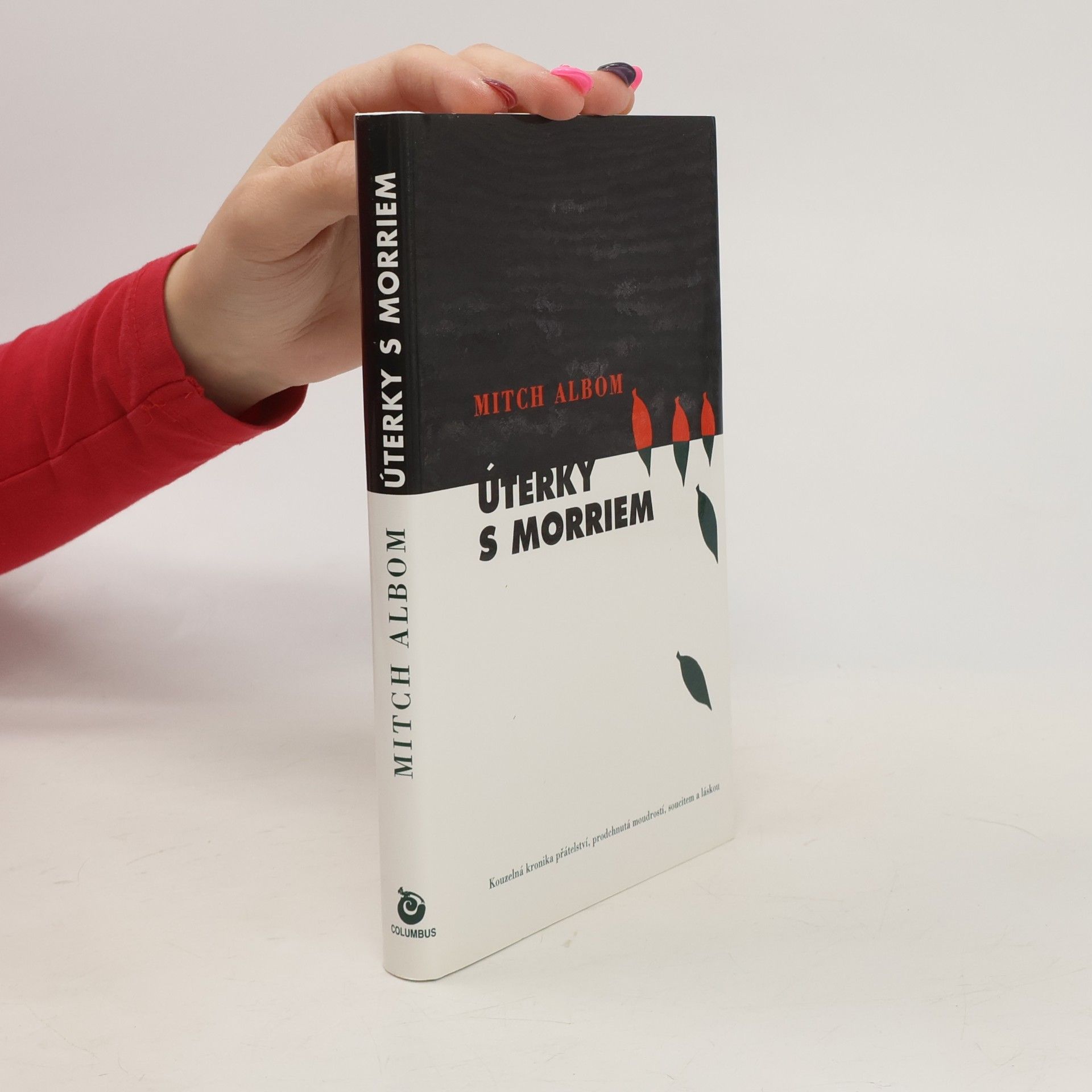 Mitch Albom Úterky s Morriem
