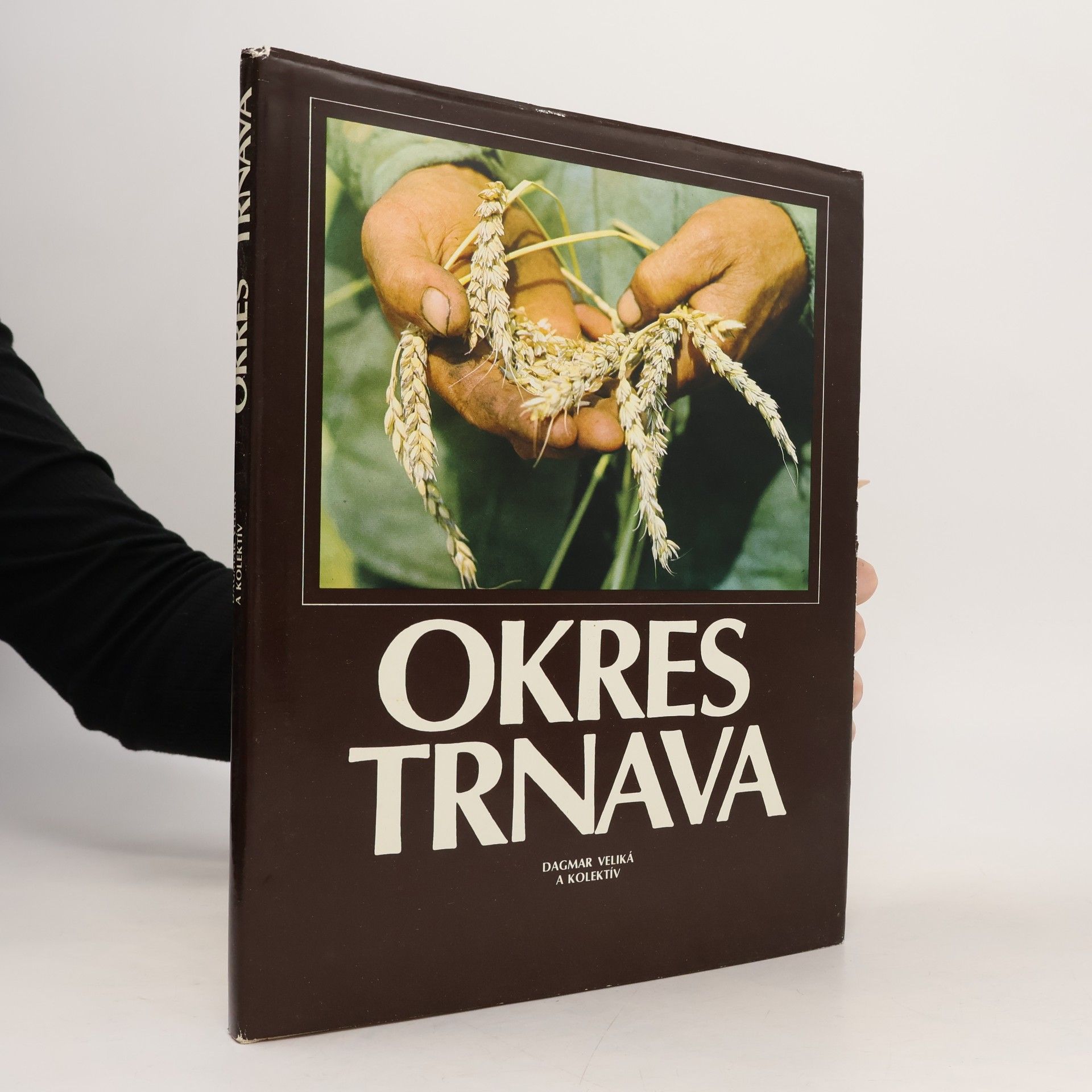 Collectif d'auteurs Okres Trnava a jeho socialistické premeny