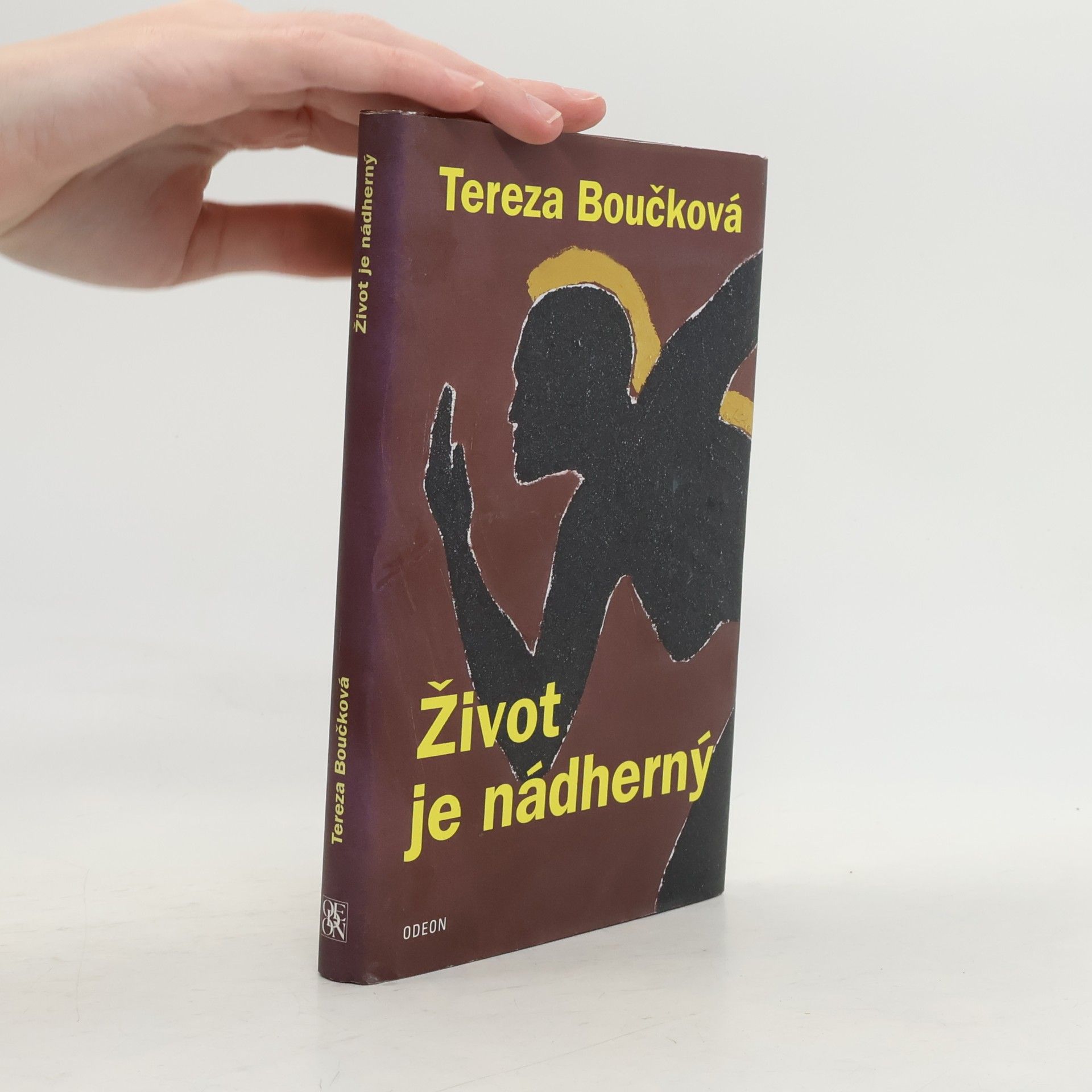 Život je nádherný