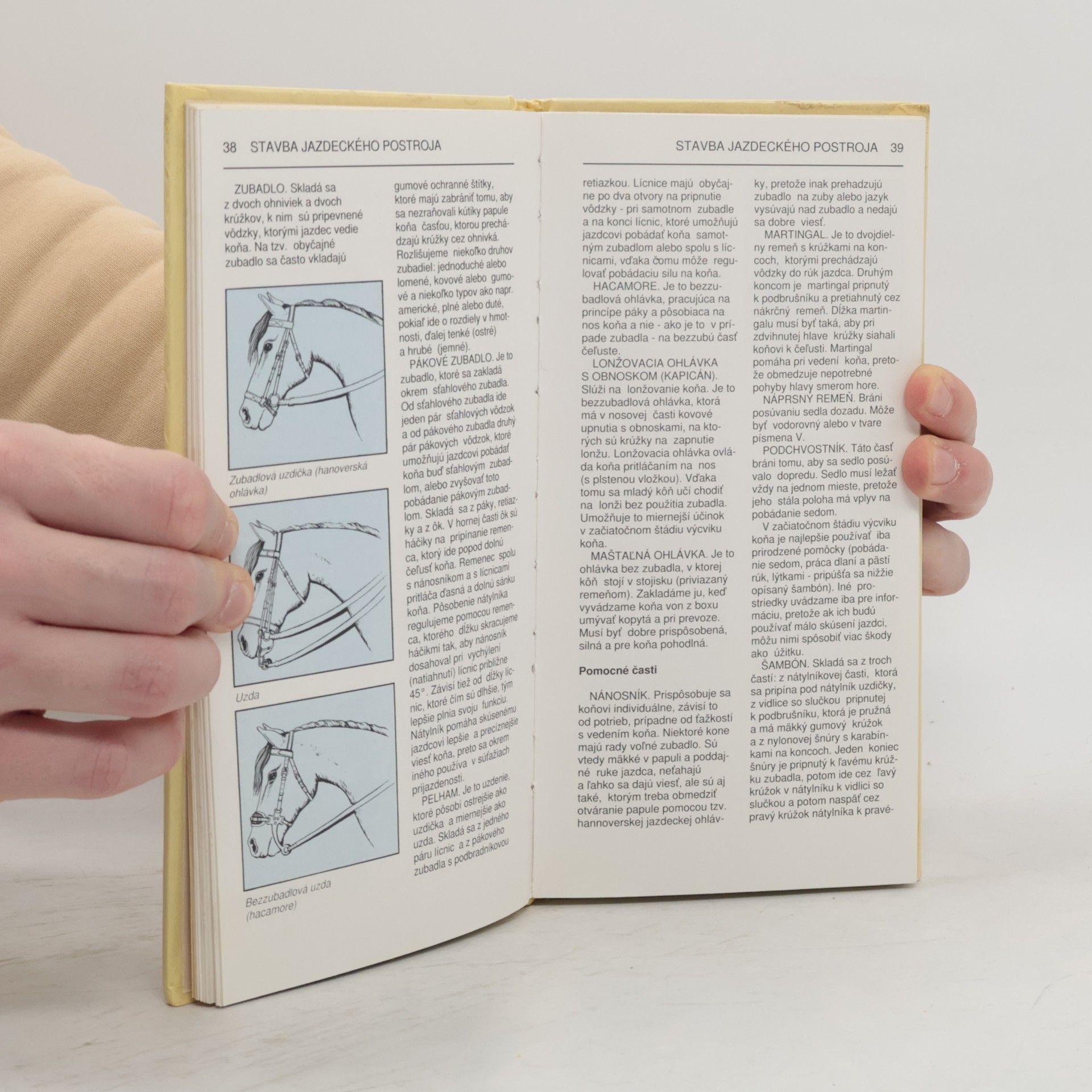 Dorota Modlińska Praktická príručka: Kone a žriebätá