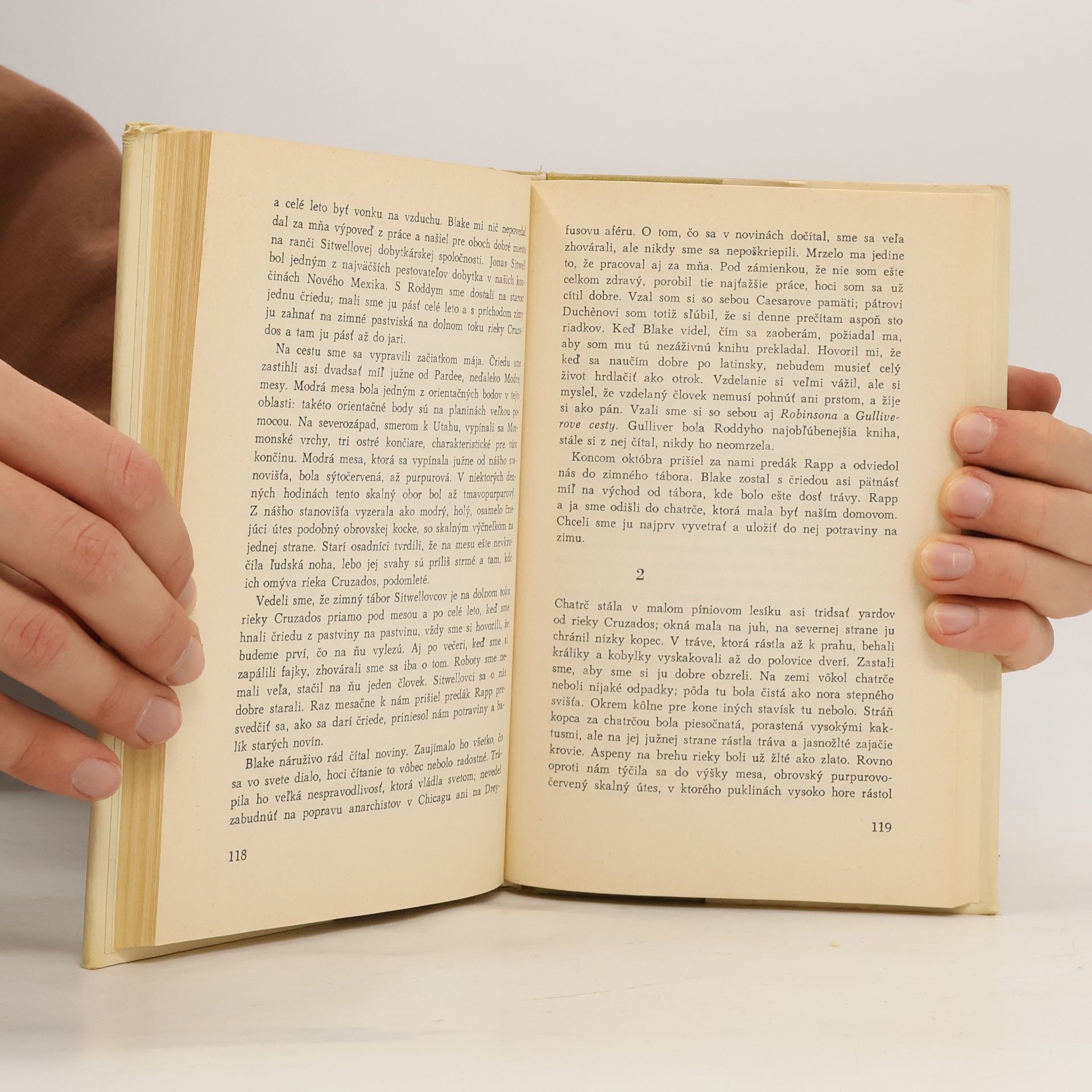 Willa Cather Profesorov dom