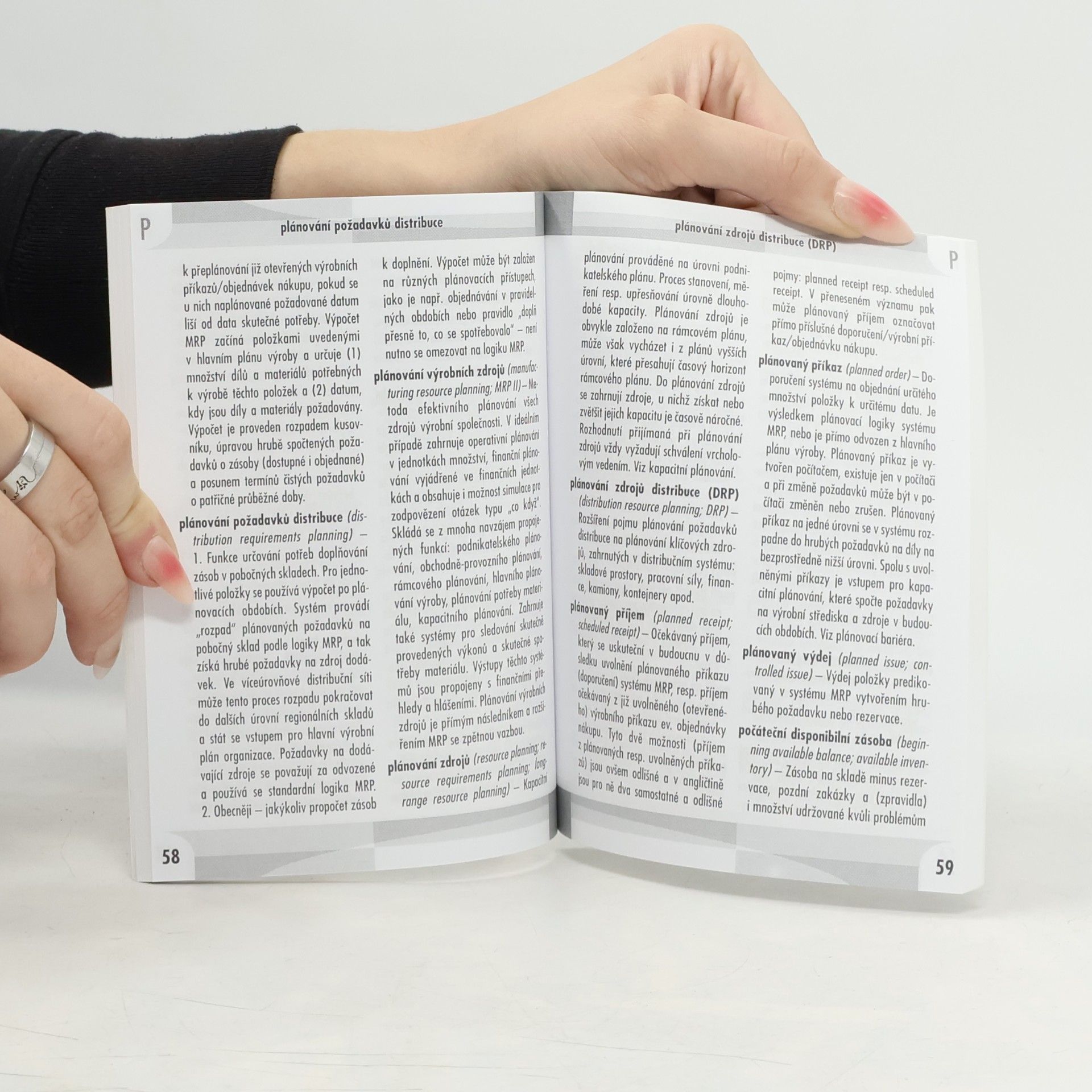 Autorenkollektiv Výkladový slovník česko-anglický a anglicko-český : podnikové informační systémy