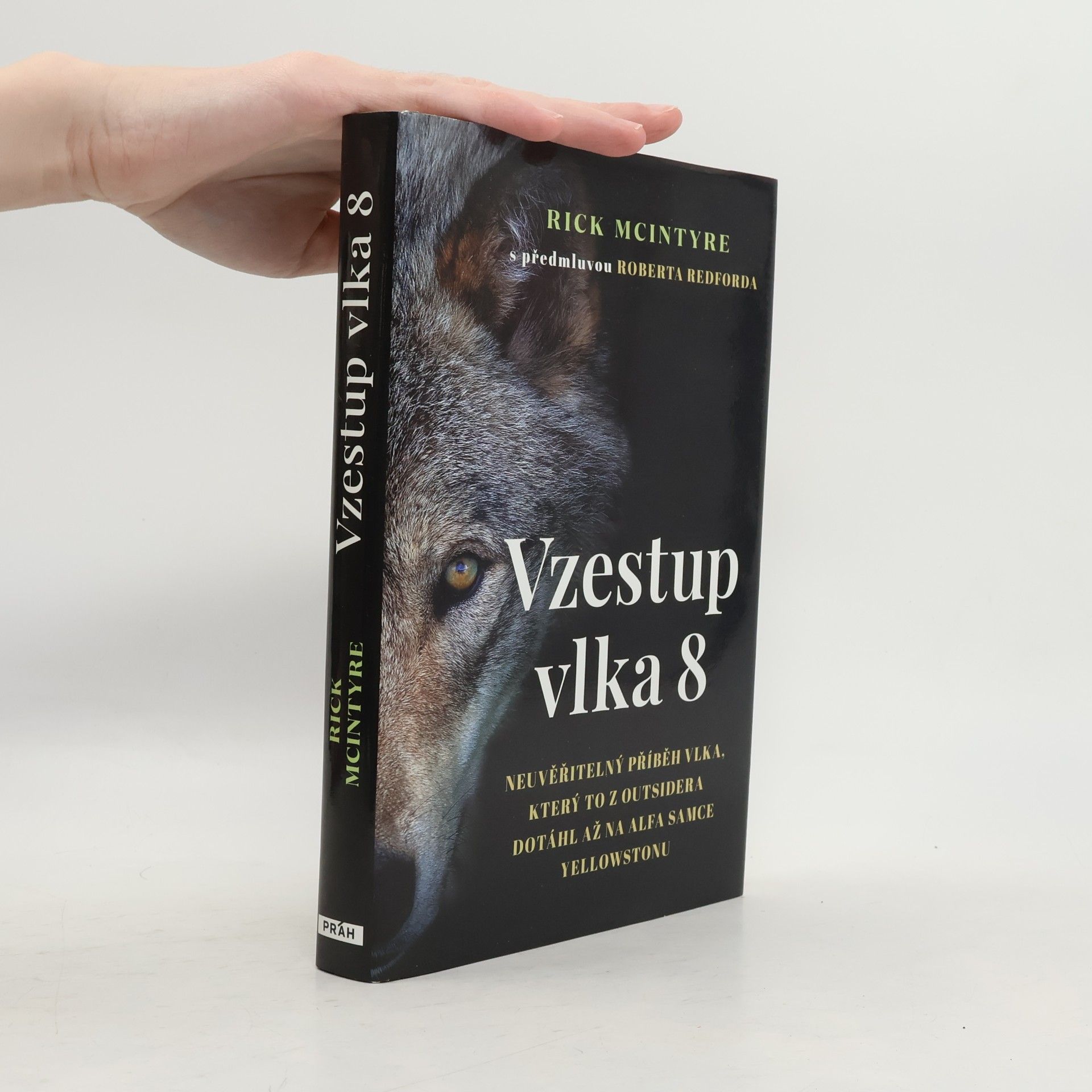 Rick McIntyre Vzestup vlka 8