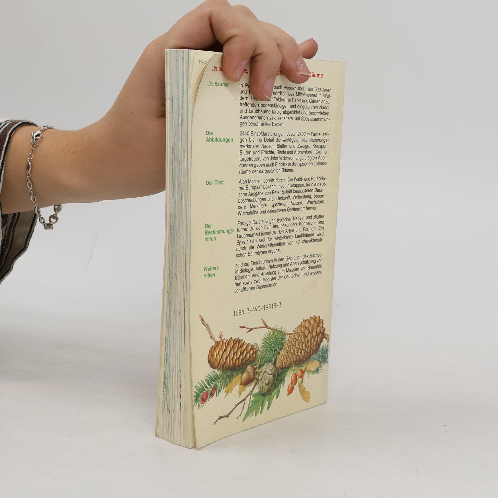 Alan F. Mitchell Pareys Buch der Bäume