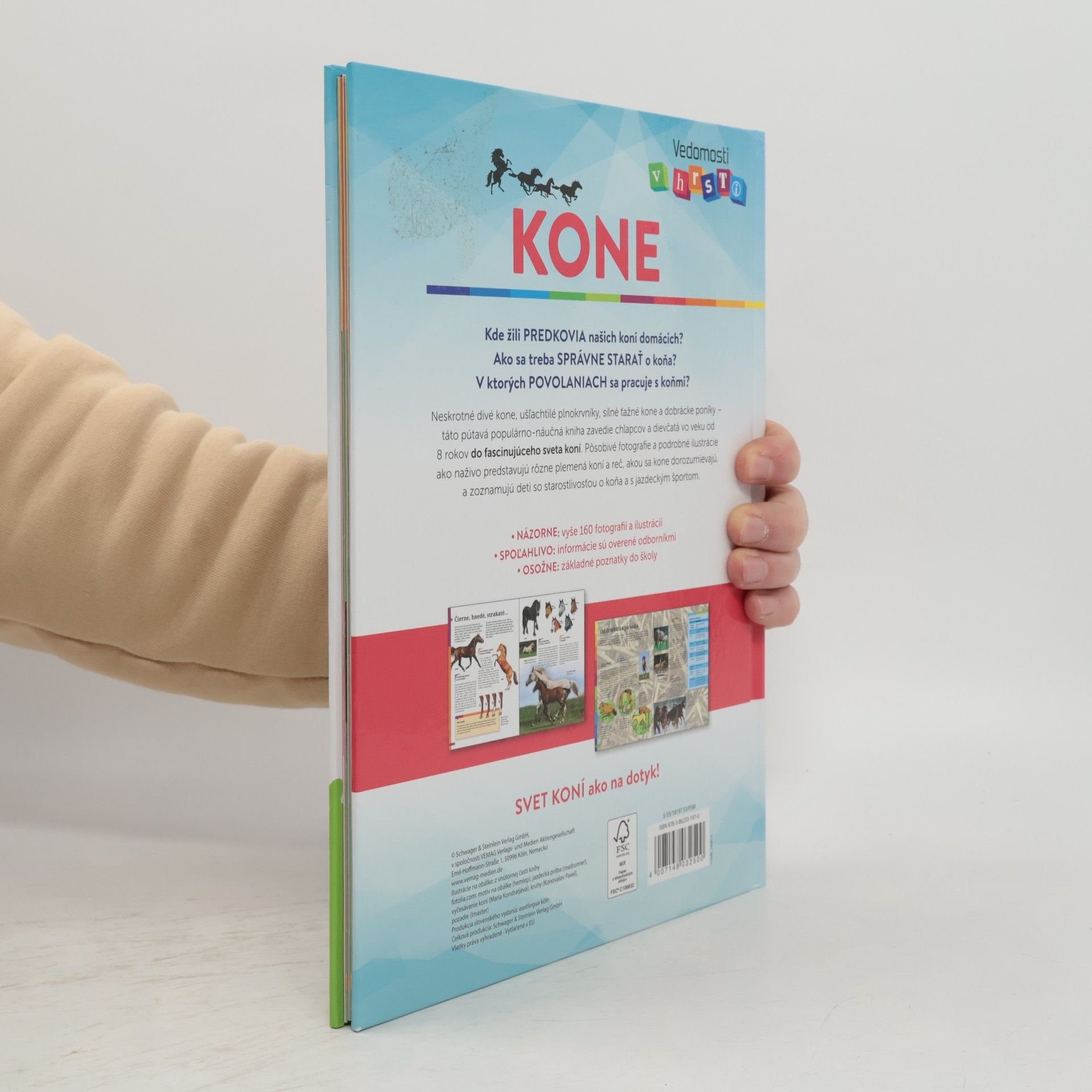 Anja Schriever Kone