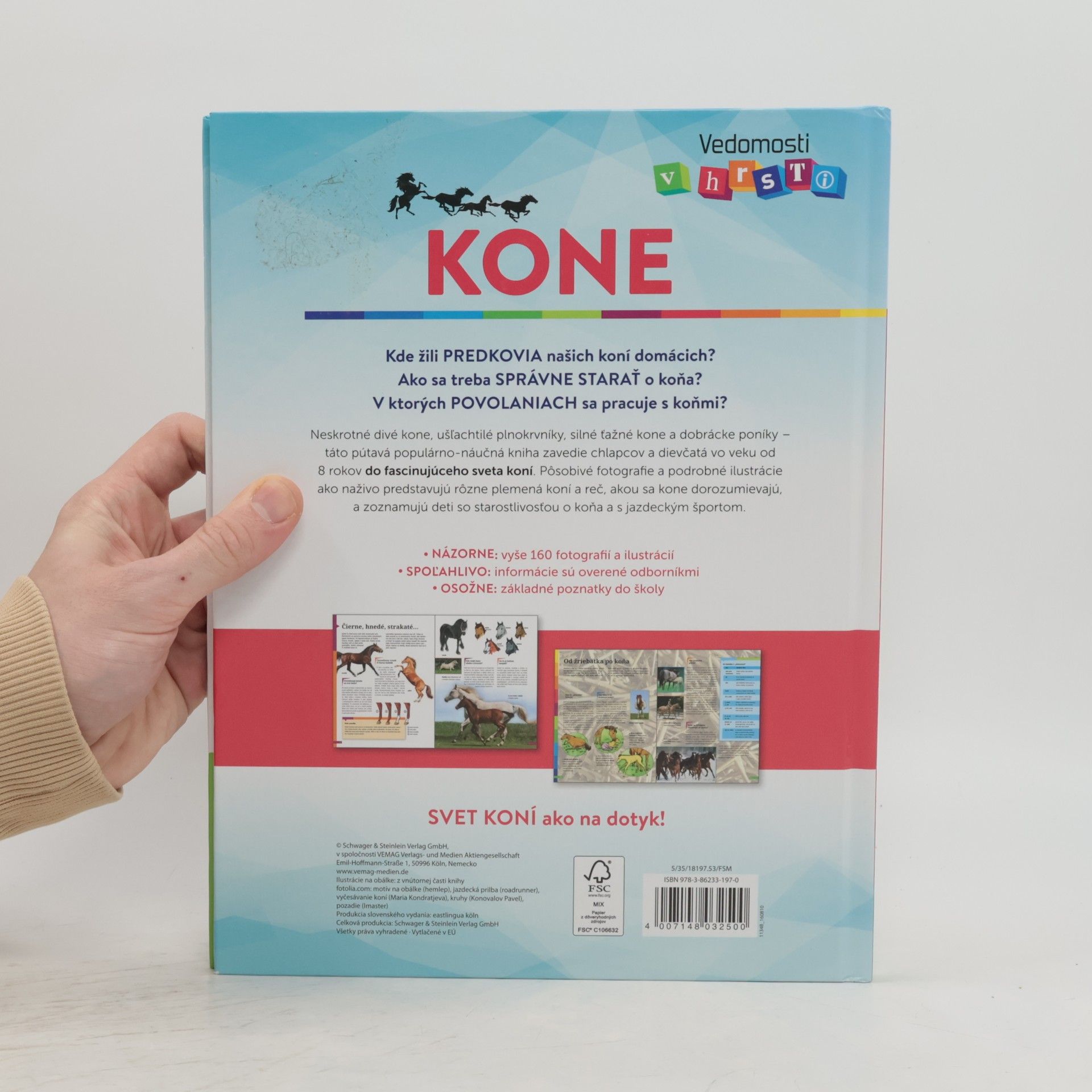 Anja Schriever Kone