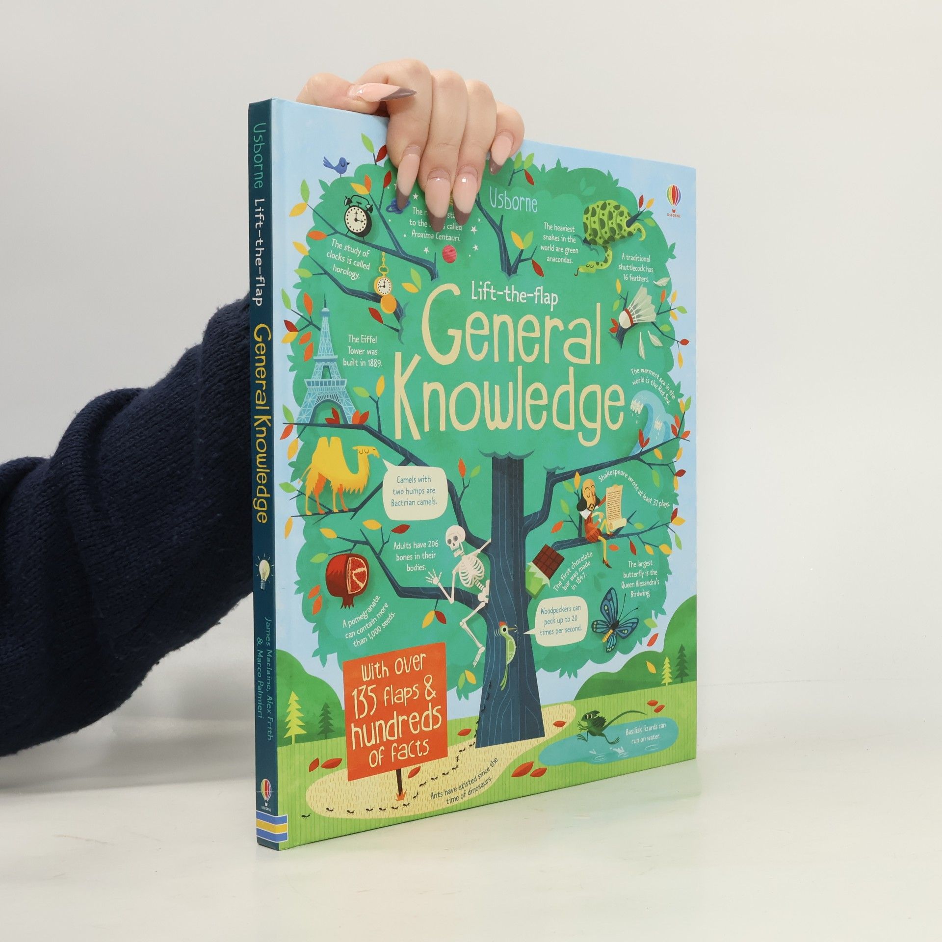 General knowledge : with over 135 flaps & hundreds of facts