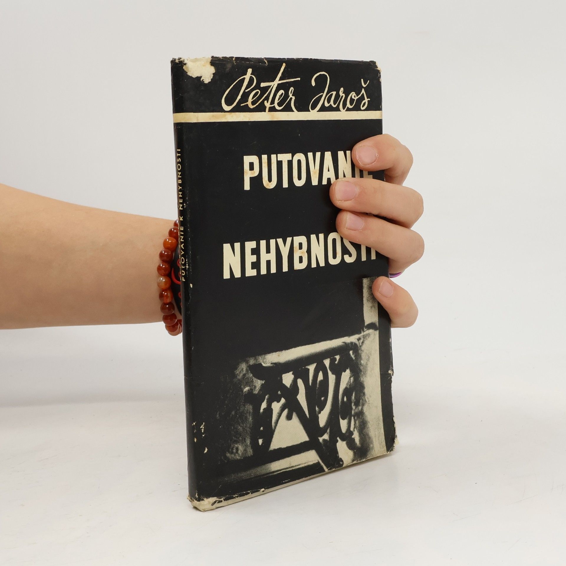 Putovanie k nehybnosti