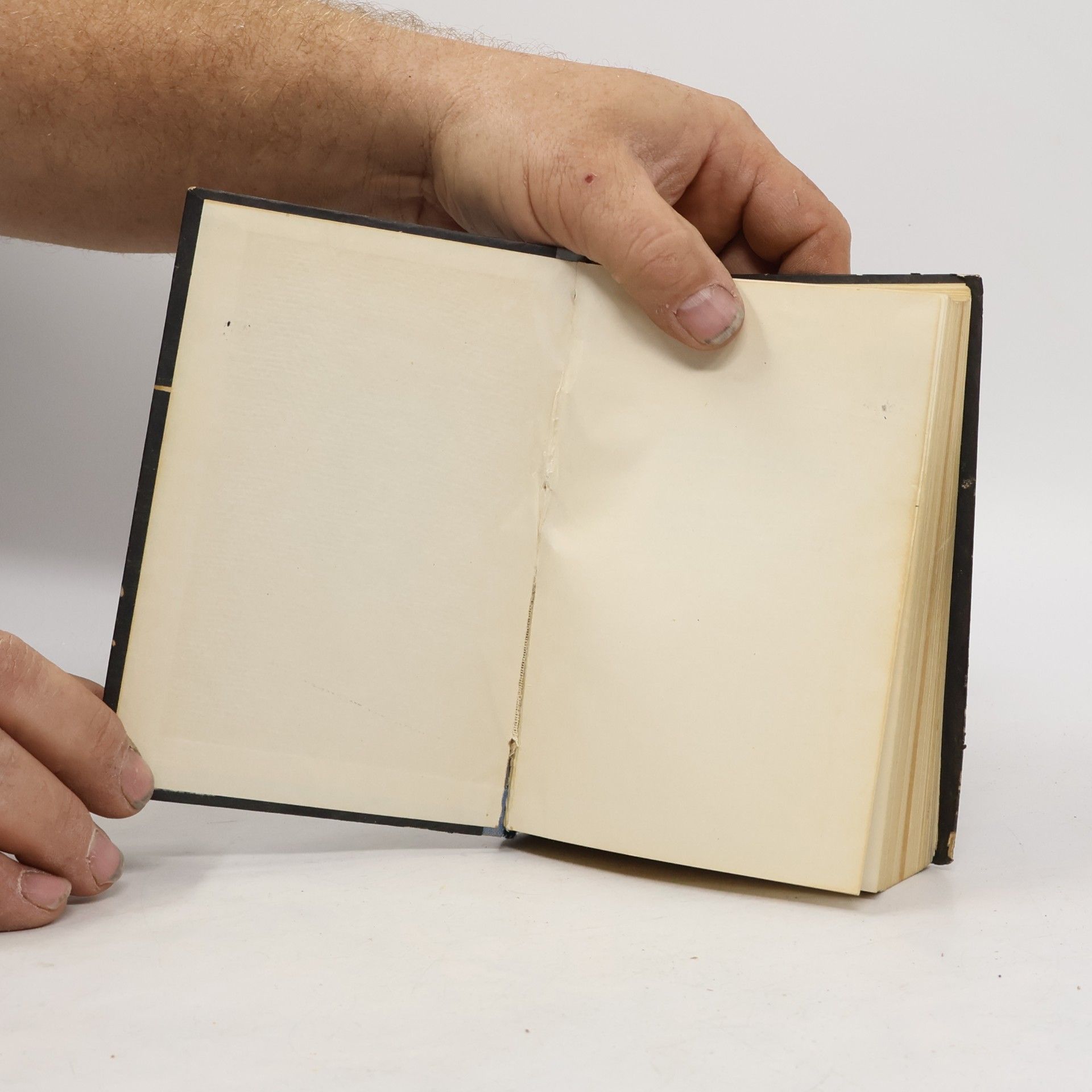 Branislav Grujić Standardni rečnik / Wörterbuch