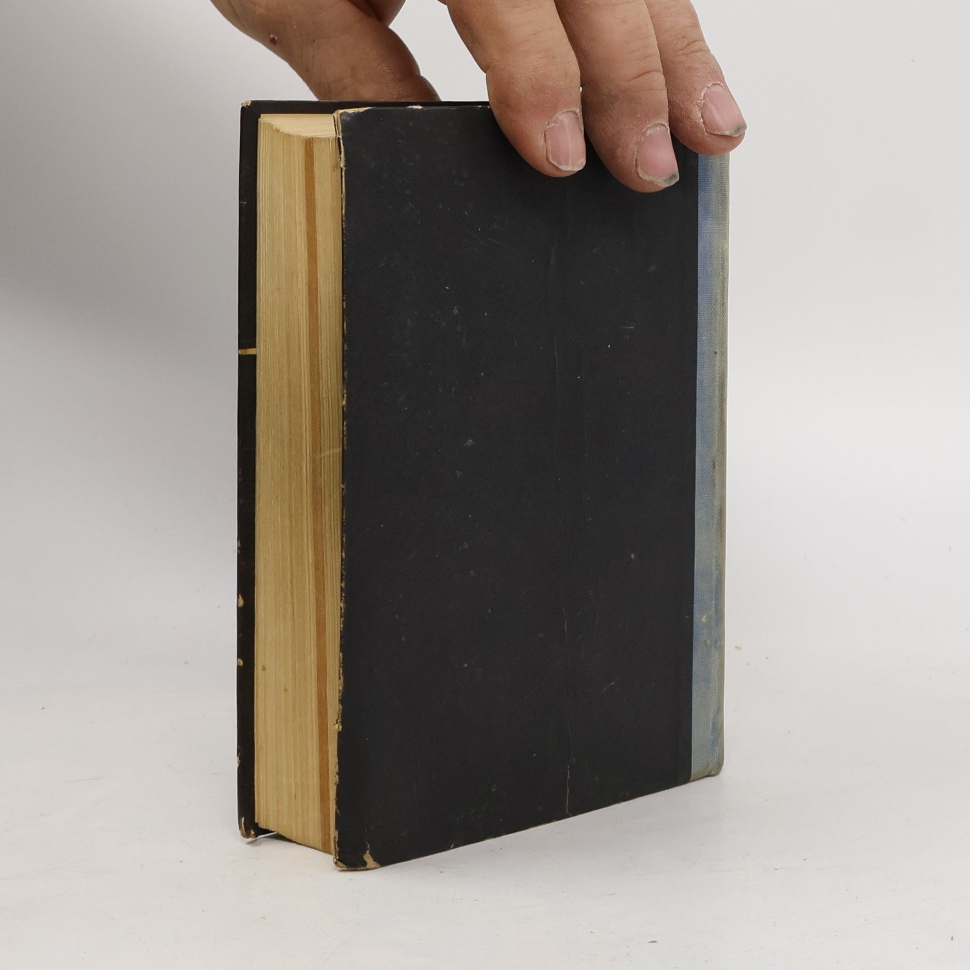 Branislav Grujić Standardni rečnik / Wörterbuch