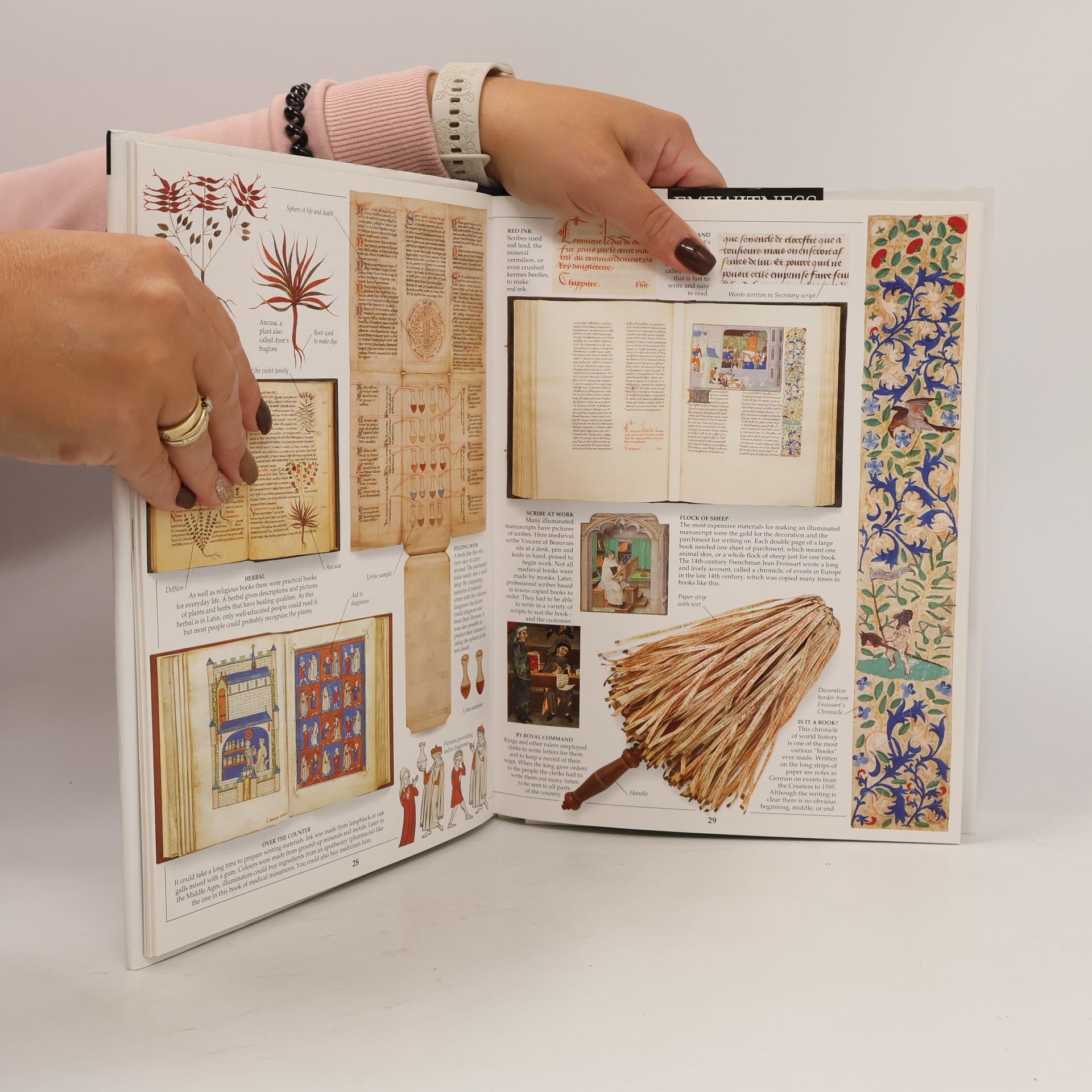 Karen Brookfield Eyewitness Guides - 48: Writing
