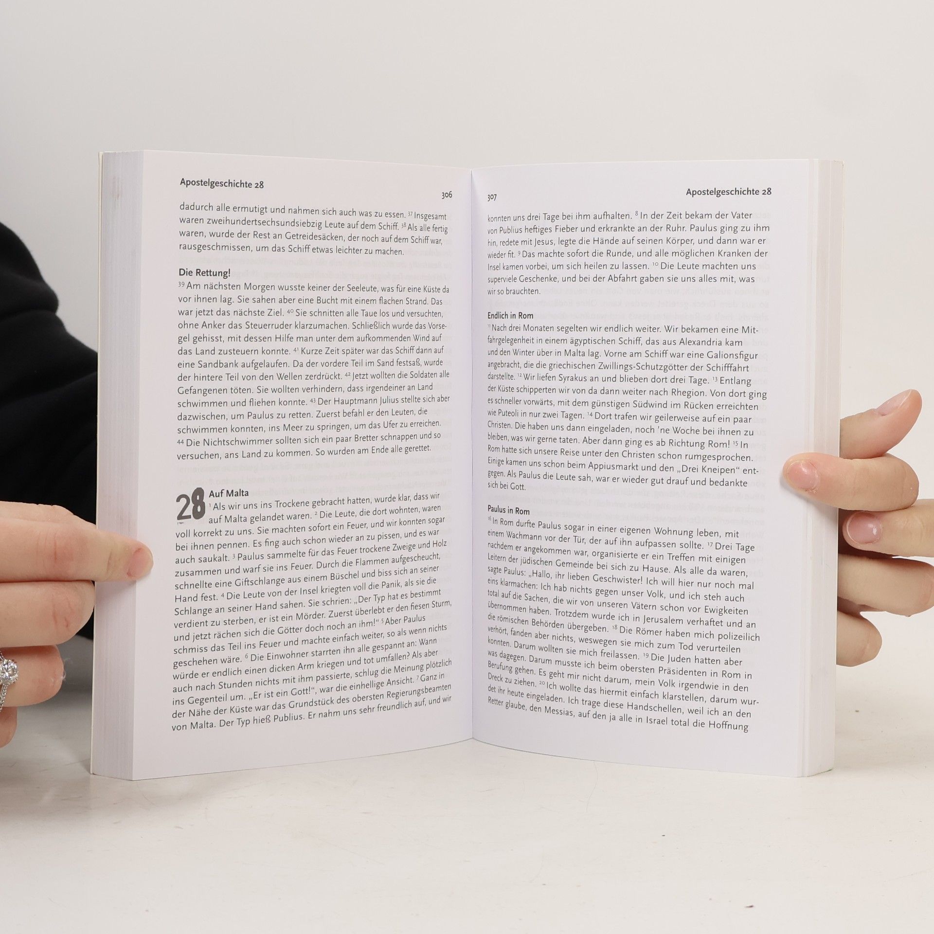 Martin Dreyer Die Volxbibel 4.0