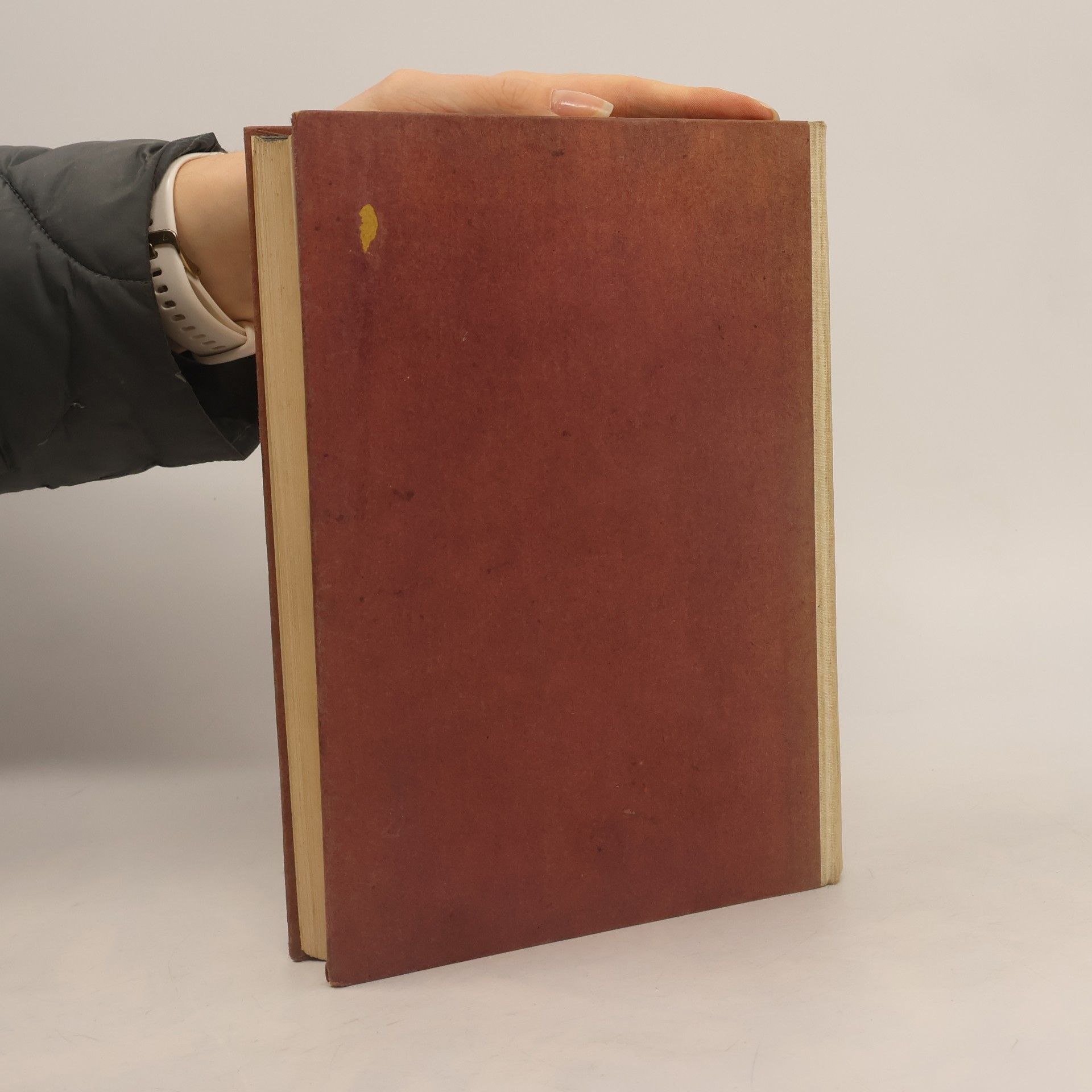 Max Osborn Geschichte der Kunst