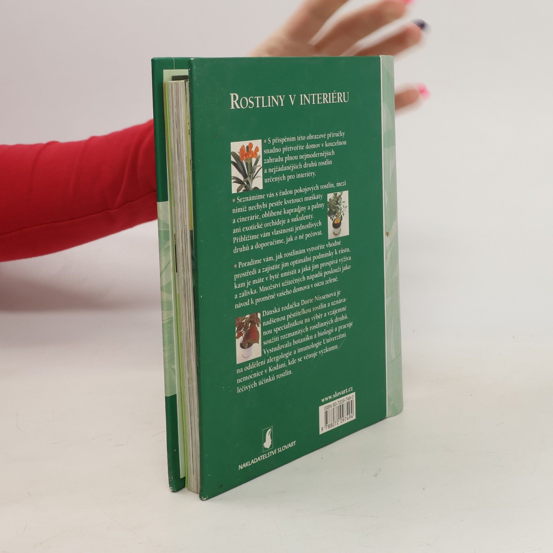 Dorte Nissen Rostliny v interiéru