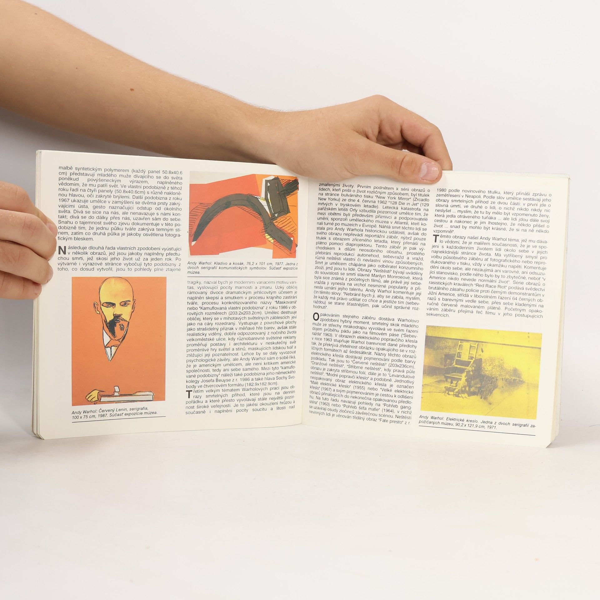 Jiří Siblík Andy Warhol v kraji svojich rodičov