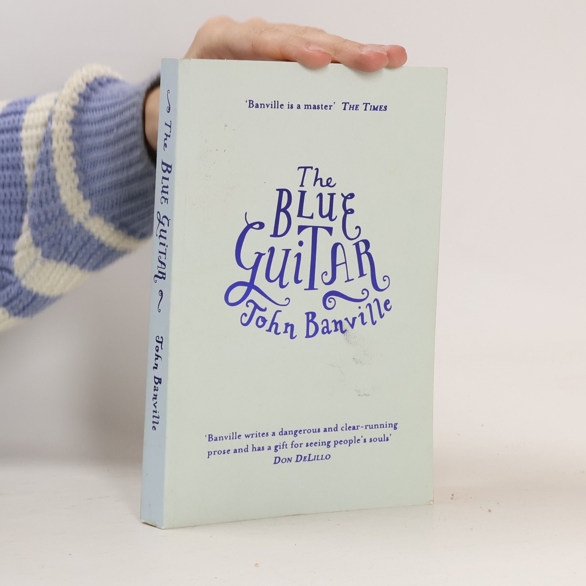 John Banville The Blue Guitar