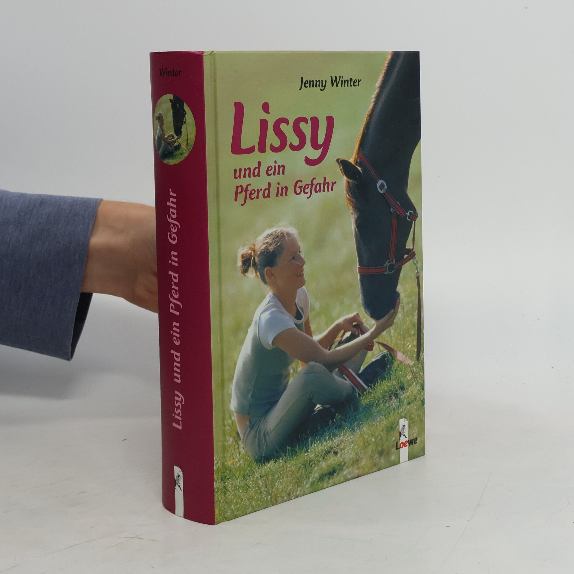 Lissy und ein Pferd in Gefahr