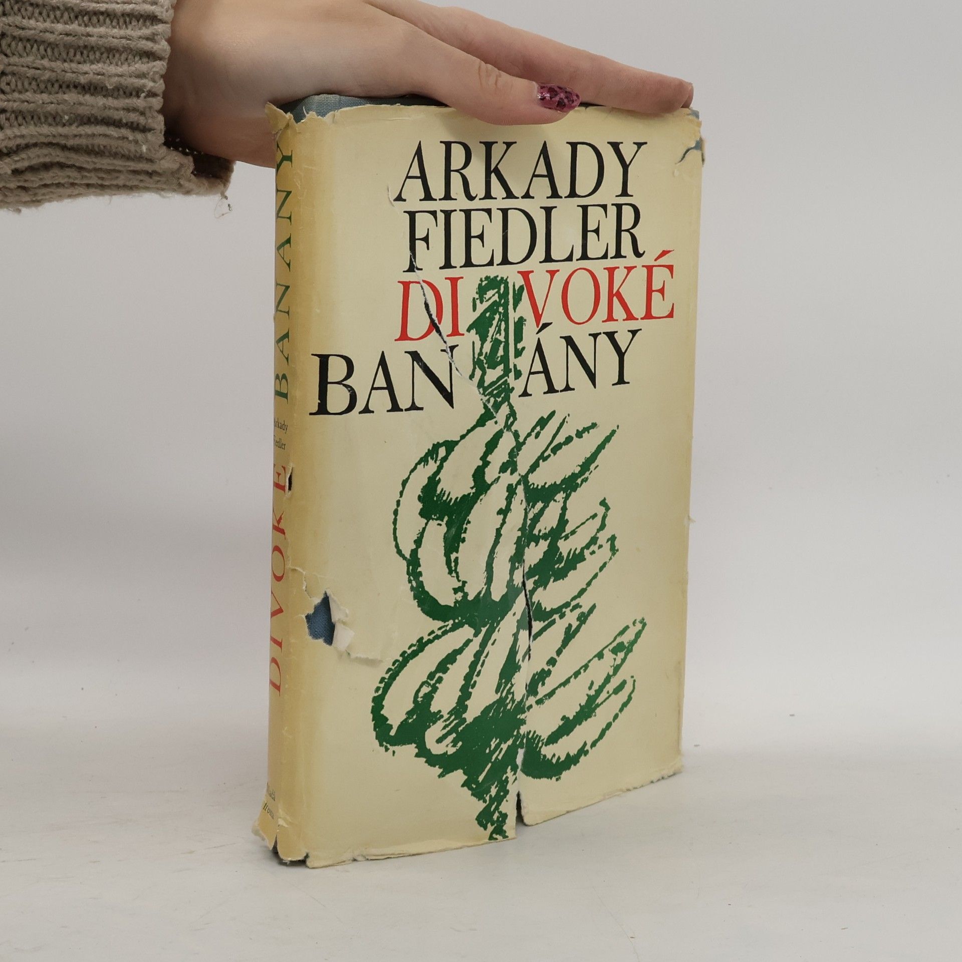 Divoké banány