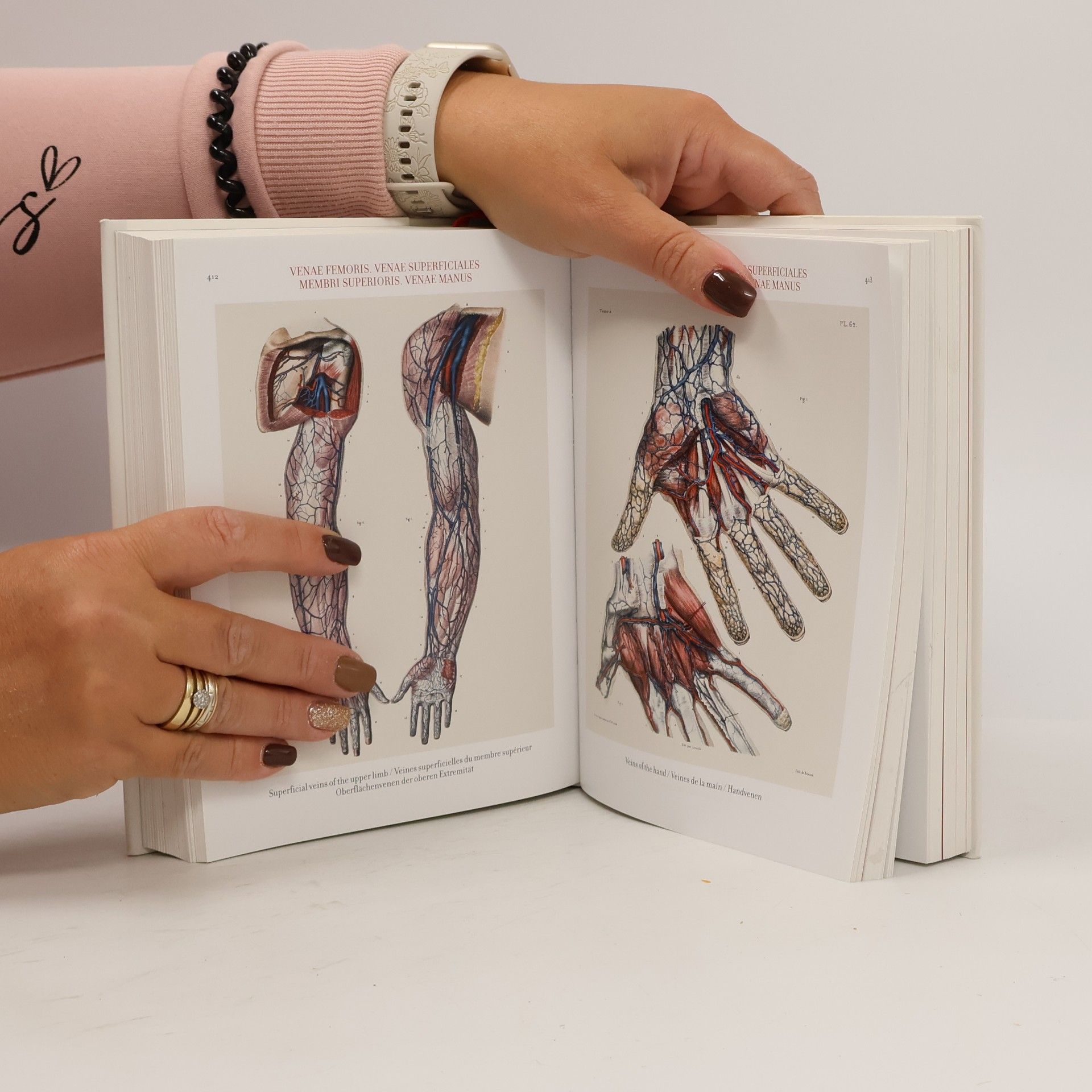 J. M. Bourgery Atlas of Human Anatomy and Surgery