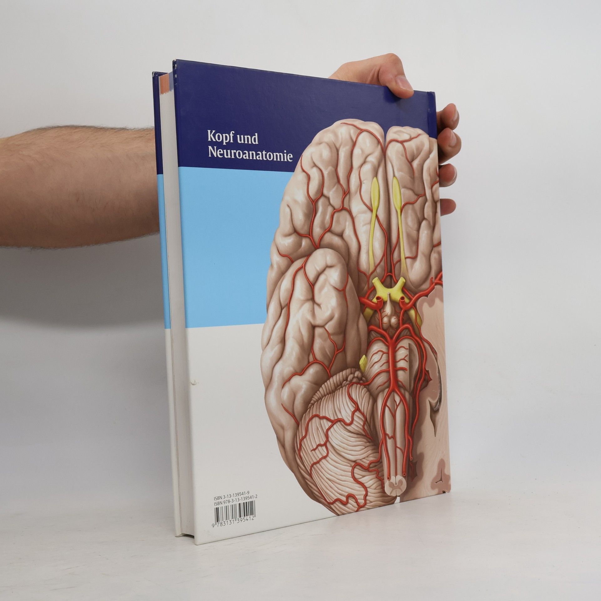 Erik Schulte Prometheus Lernatlas der Anatomie