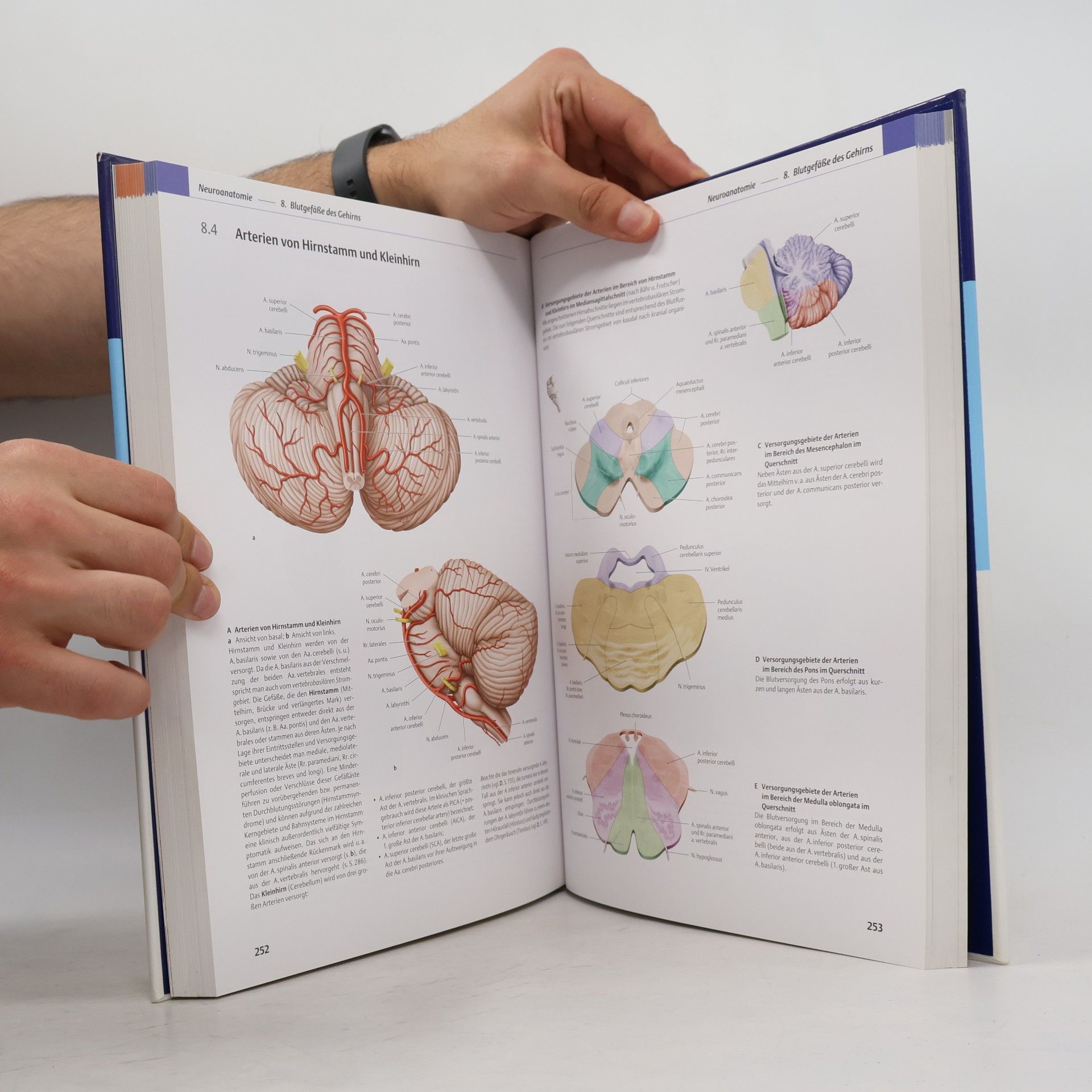 Erik Schulte Prometheus Lernatlas der Anatomie
