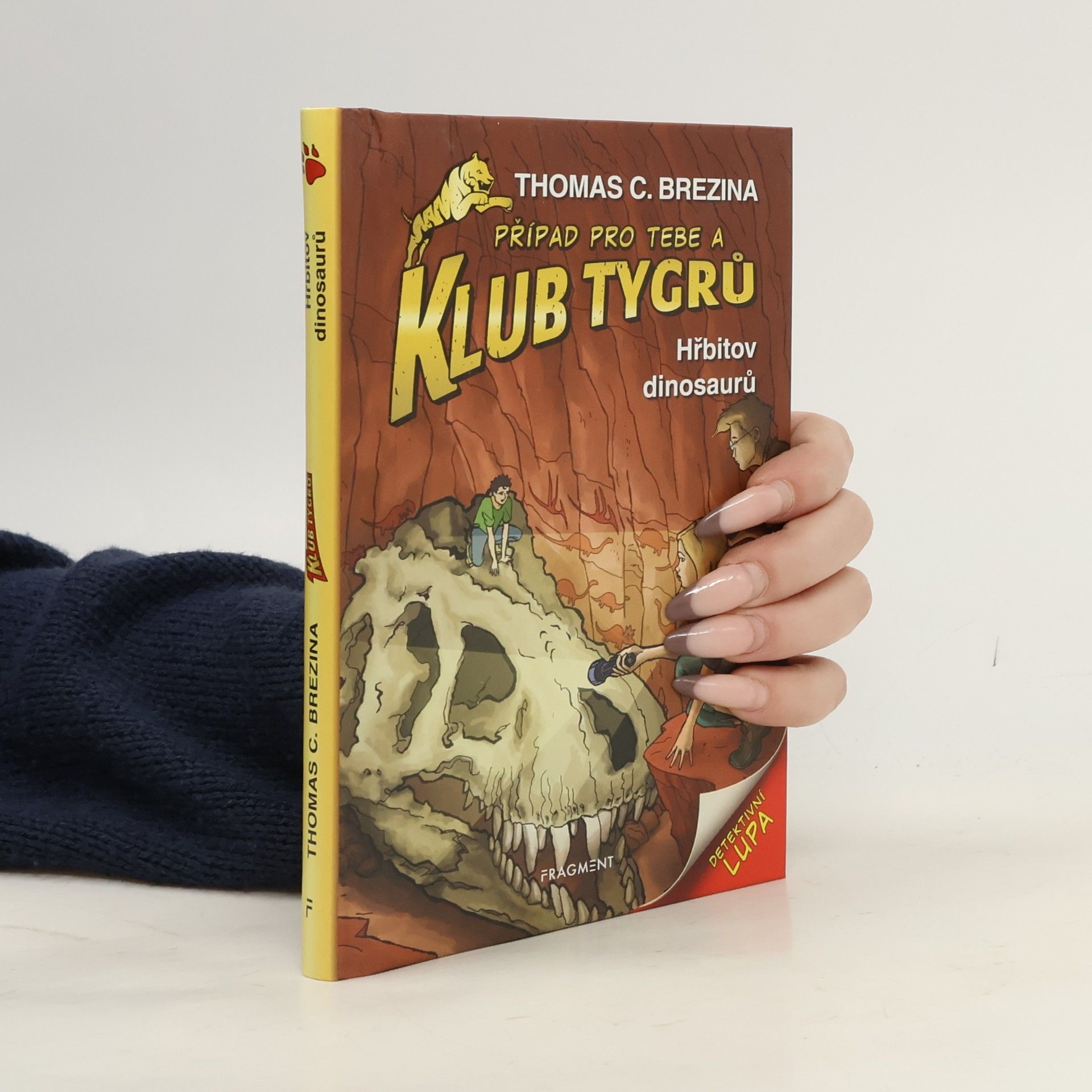 Hřbitov dinosaurů