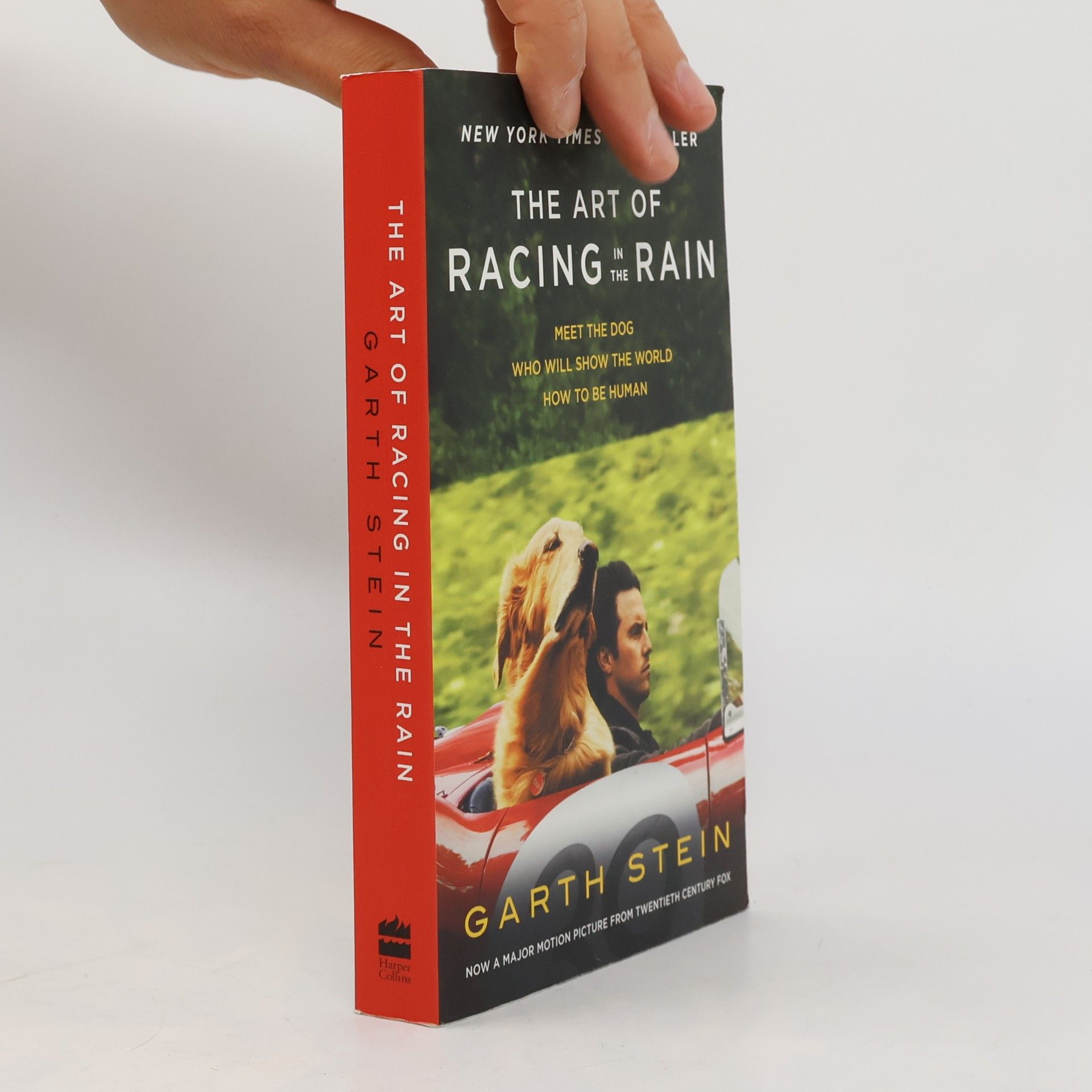 Garth Stein The Art of Racing in the Rain