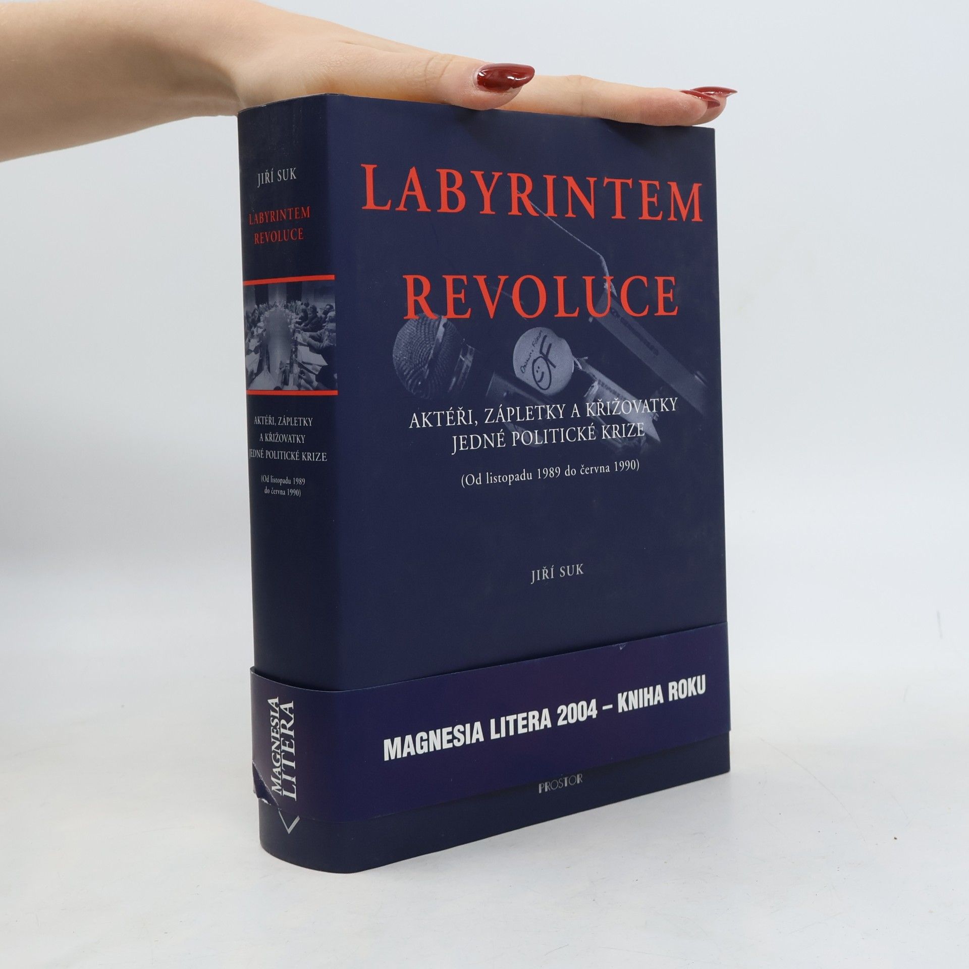 Labyrintem revoluce. Aktéři, zápletky a křižovatky jedné politické krize (od listopadu 1989 do června 1990)