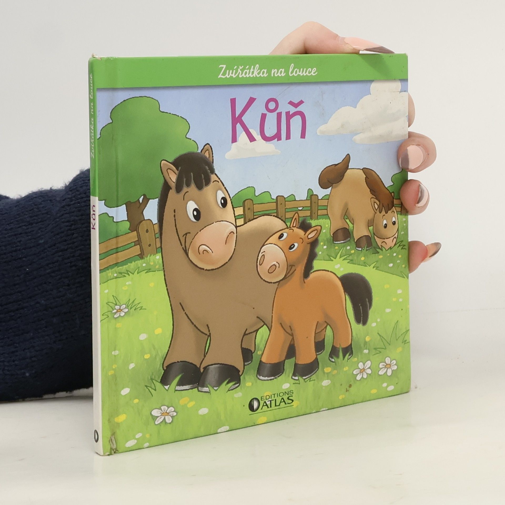 Kůň