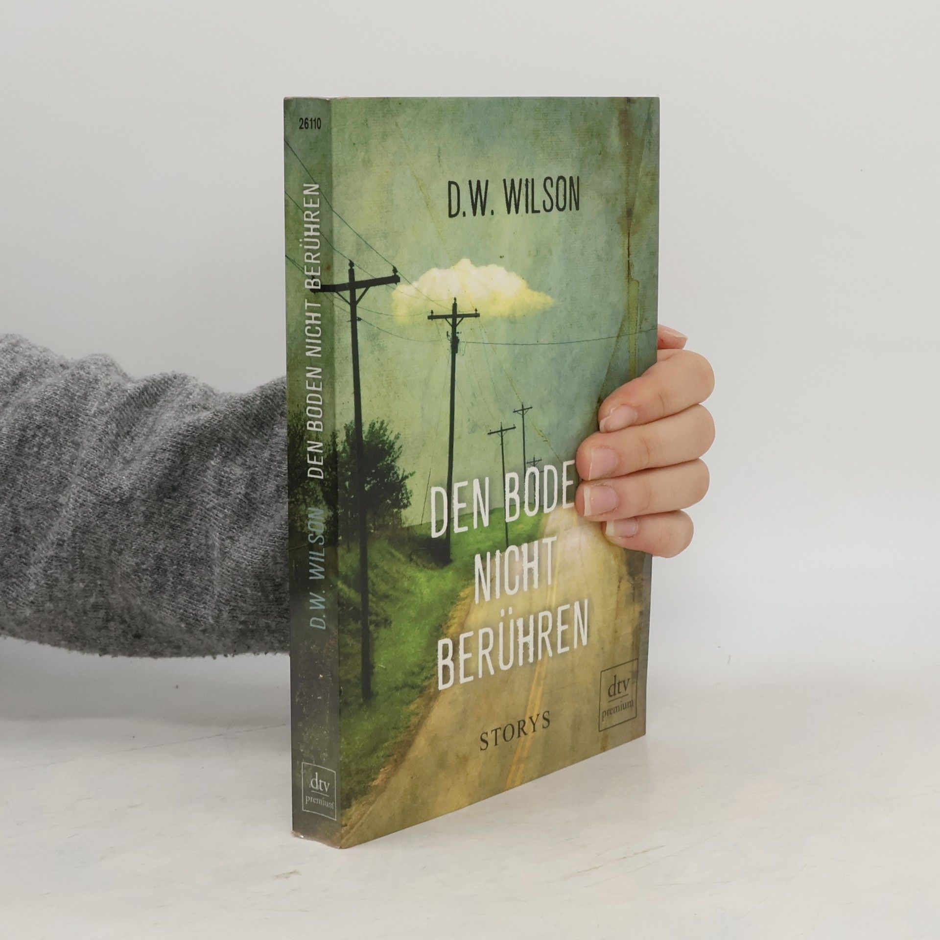 D. W. Wilson Den Boden nicht berühren