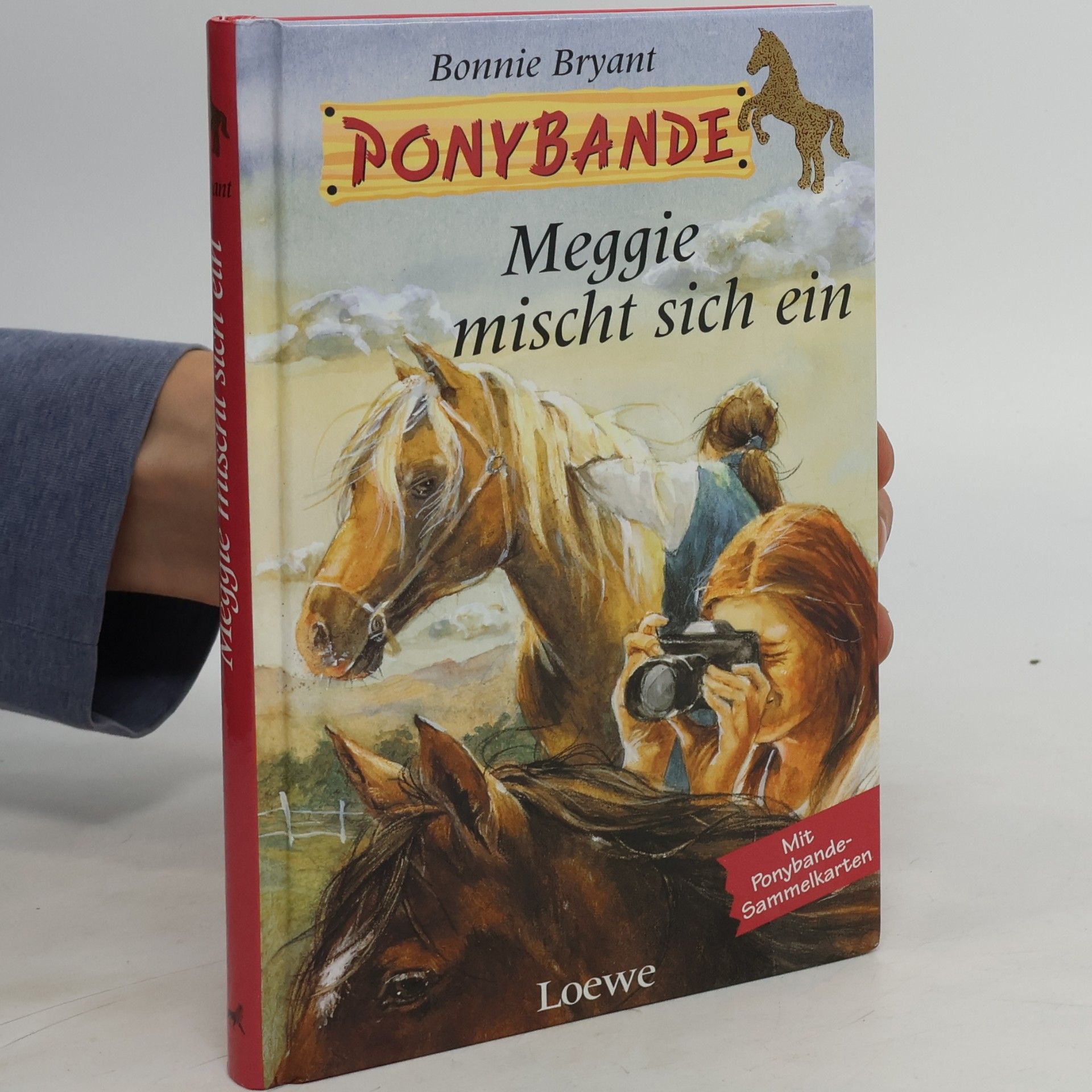 Bonnie Bryant Meggie mischt sich ein
