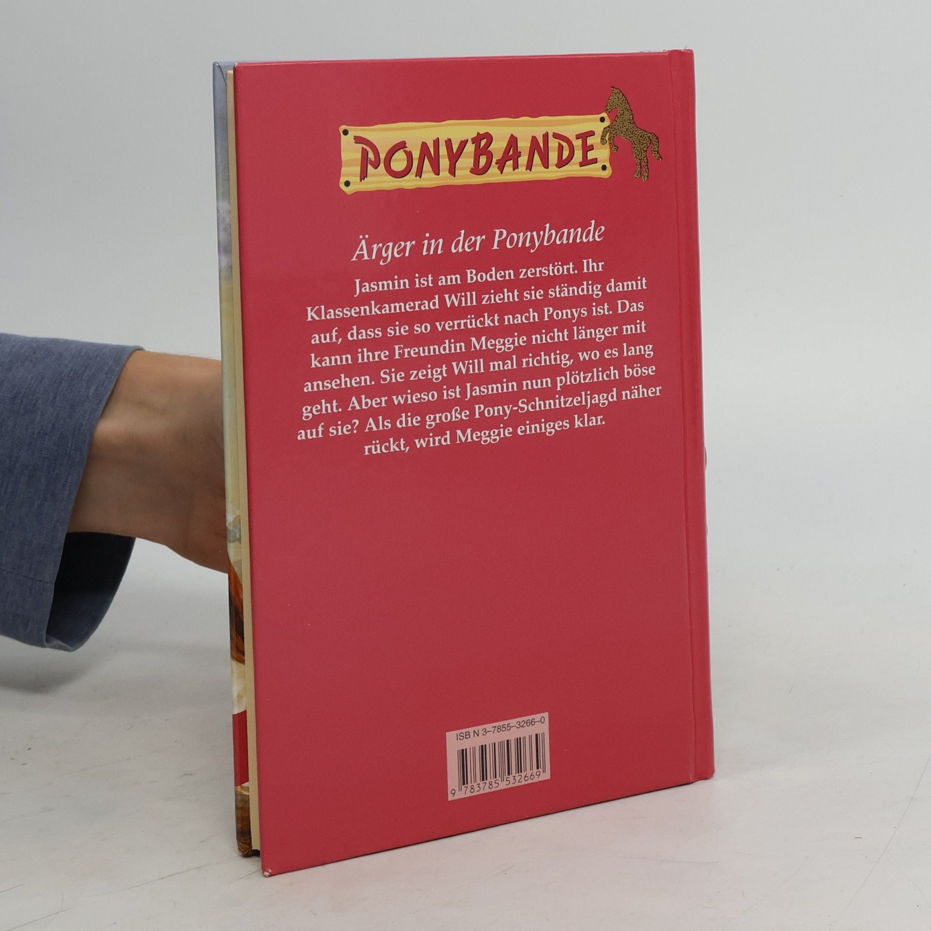 Bonnie Bryant Meggie mischt sich ein