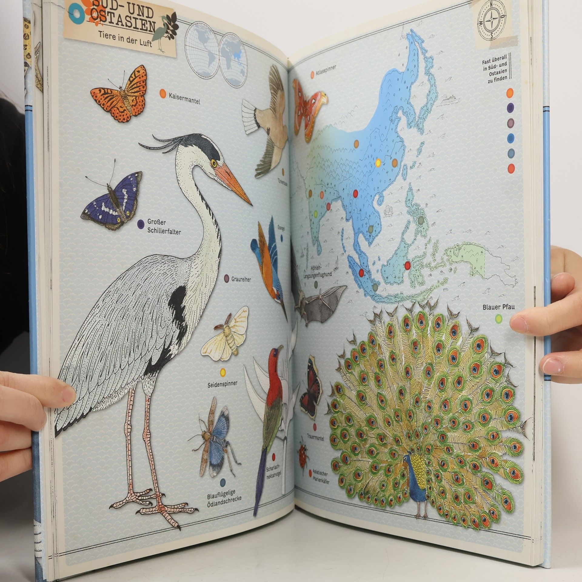 Virginie Aladjidi Mein grosser Tieratlas