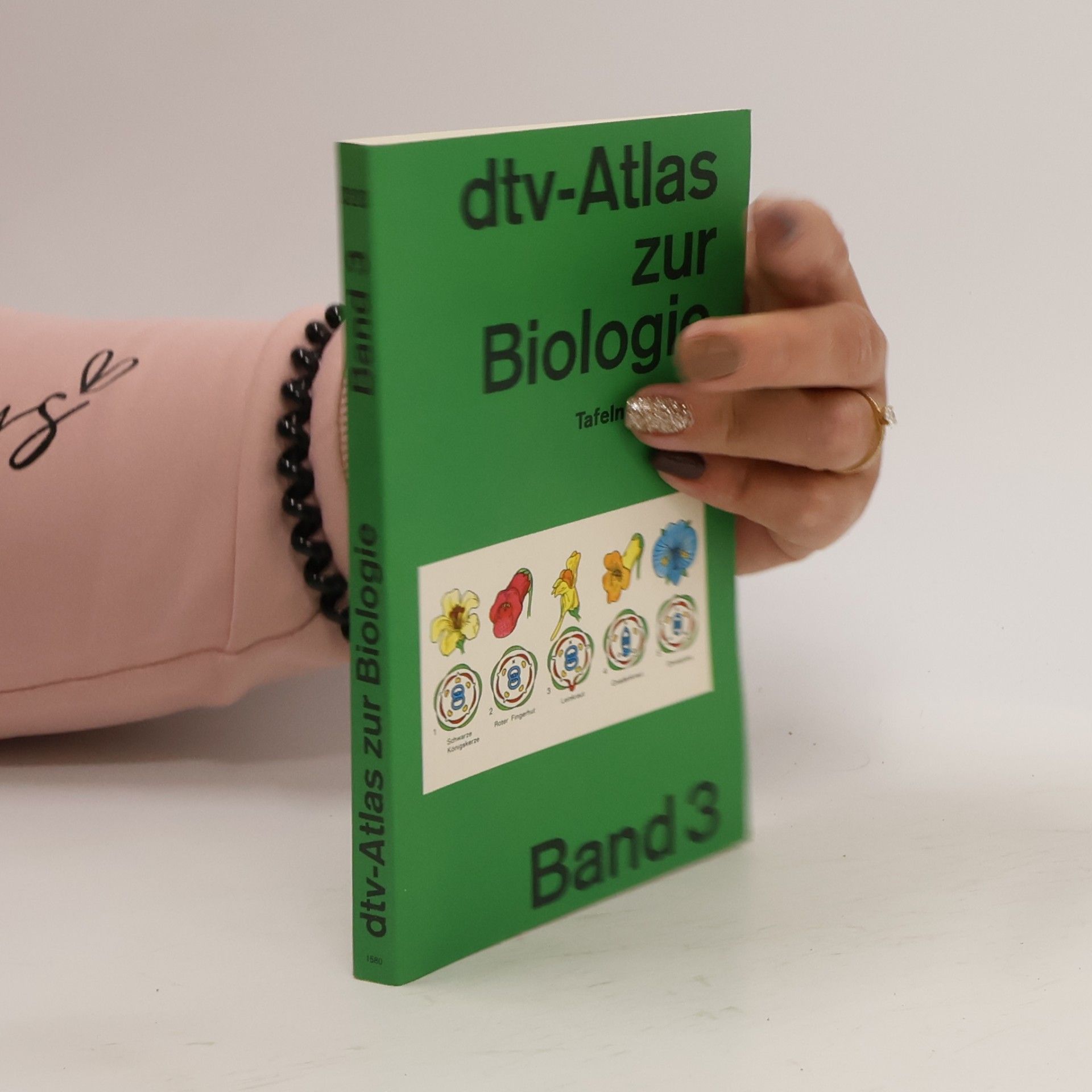 dtv-Atlas zur Biologie 3
