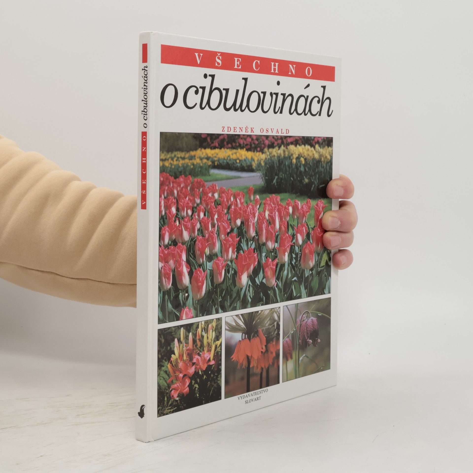 Všechno o cibulovinách