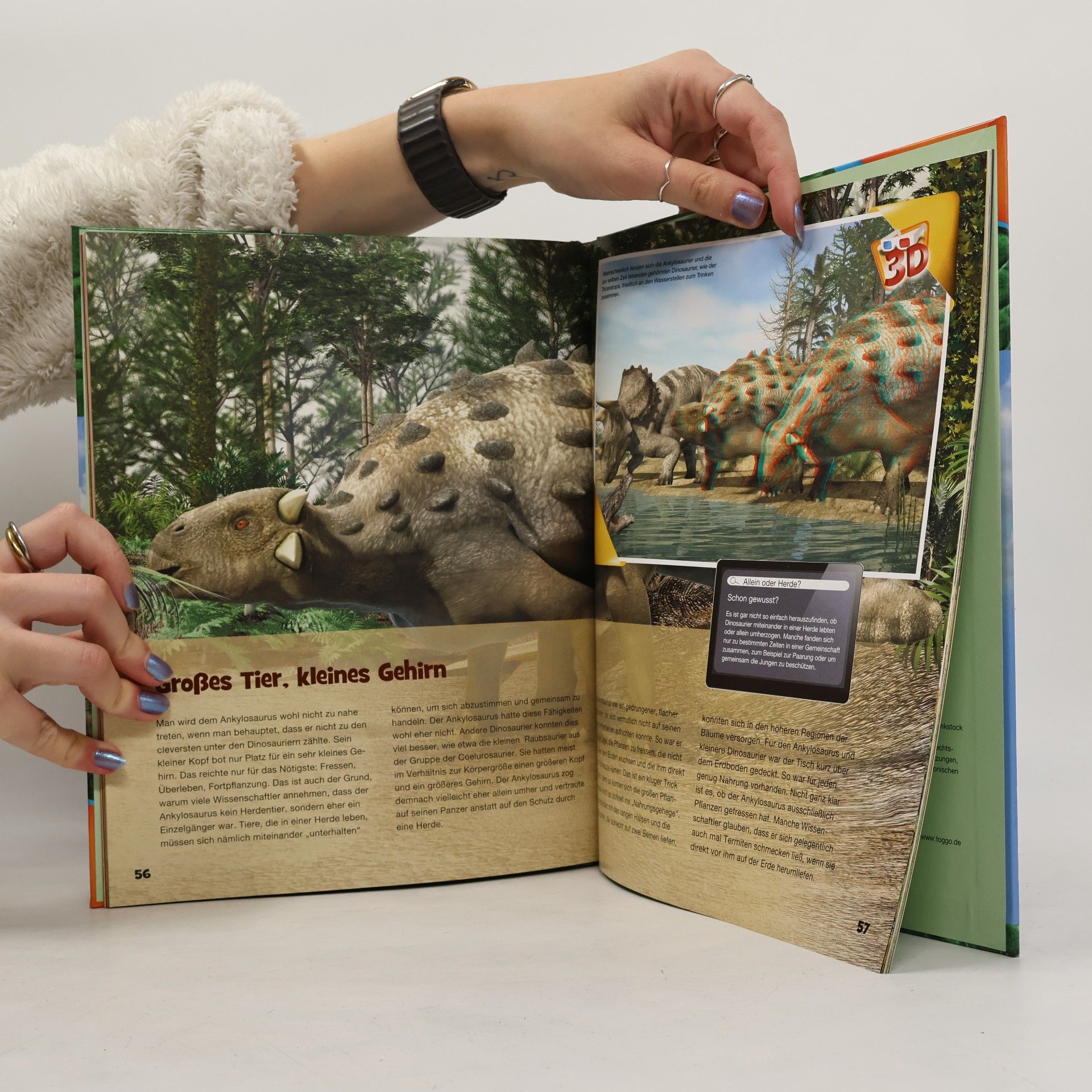 Various authors Dinos. Wissen in 3D