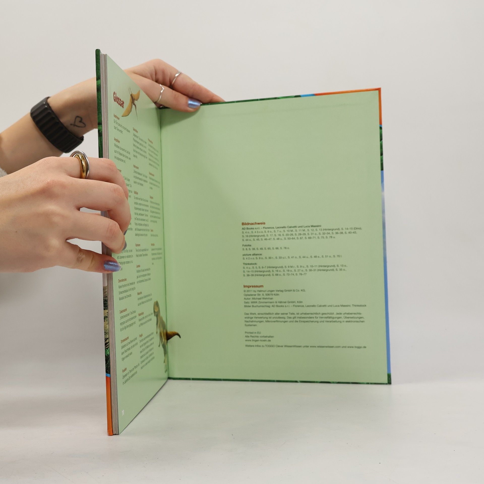 Various authors Dinos. Wissen in 3D
