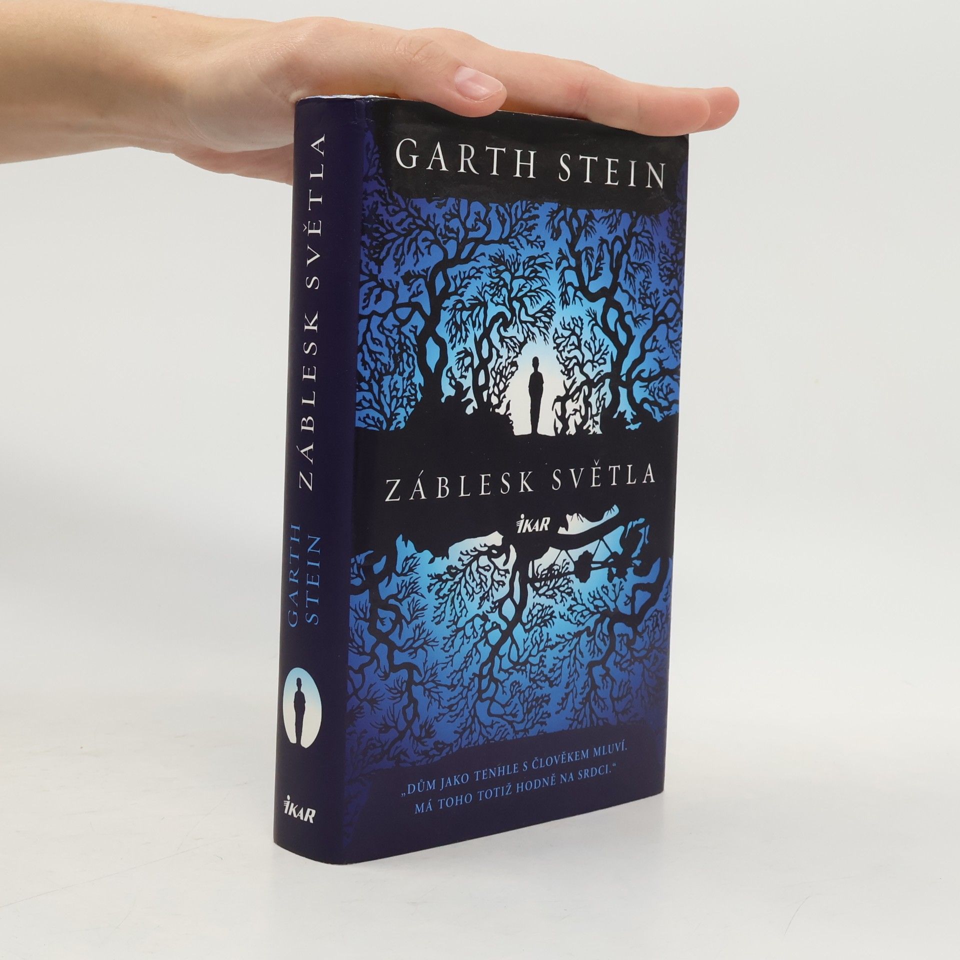 Garth Stein Záblesk světla