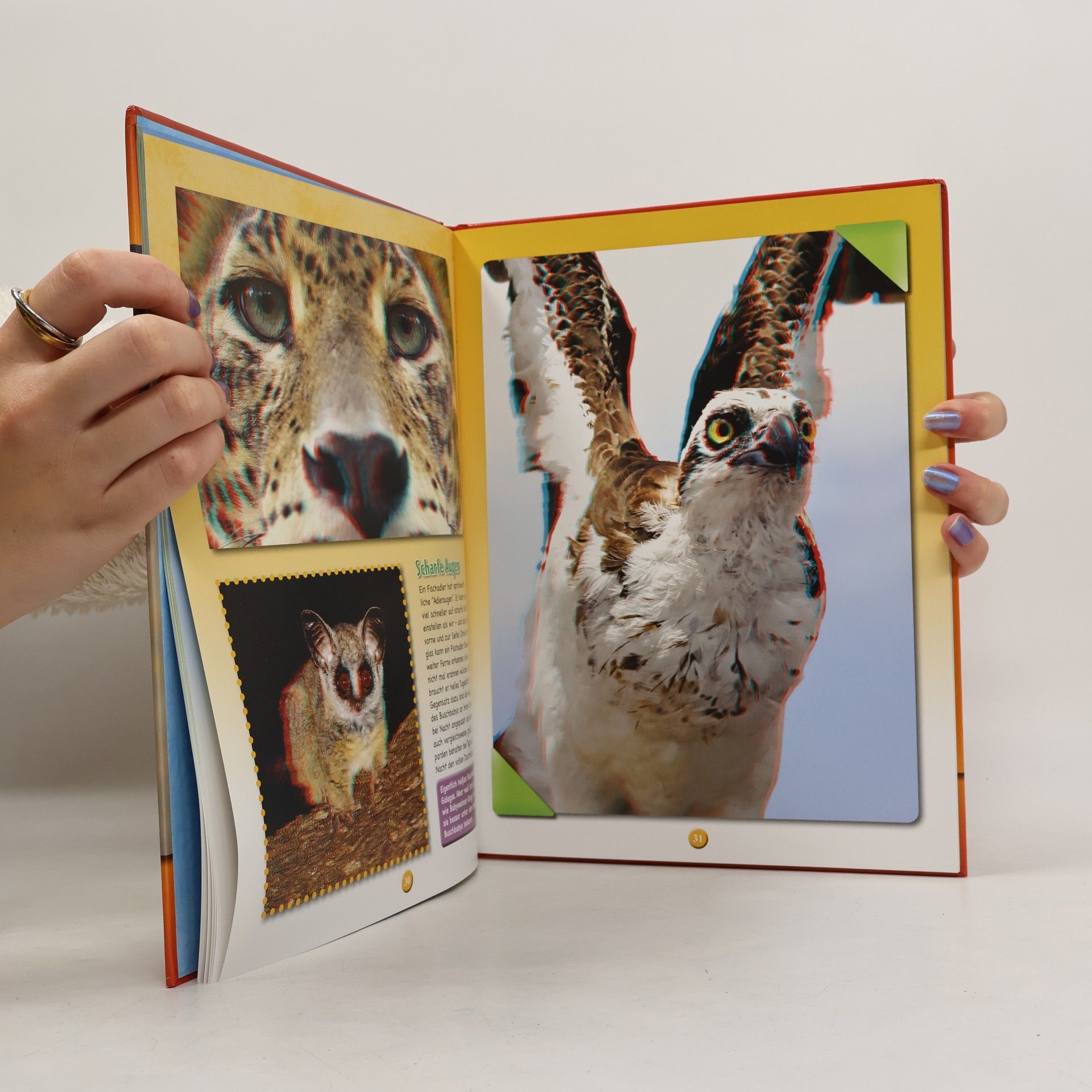 Various authors Wilde Tiere