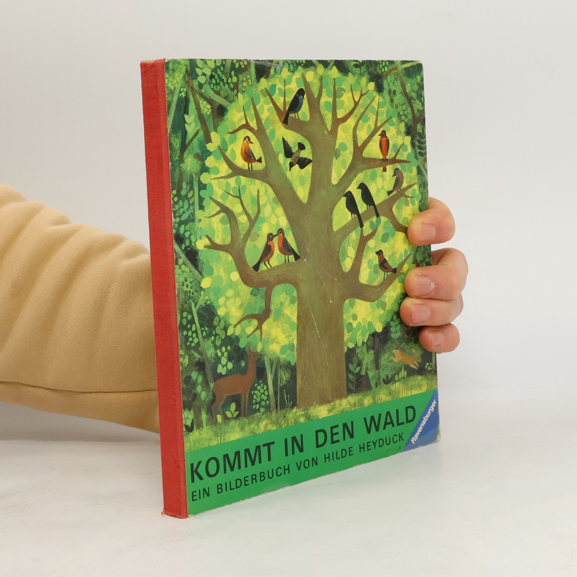 Kommt in den Wald