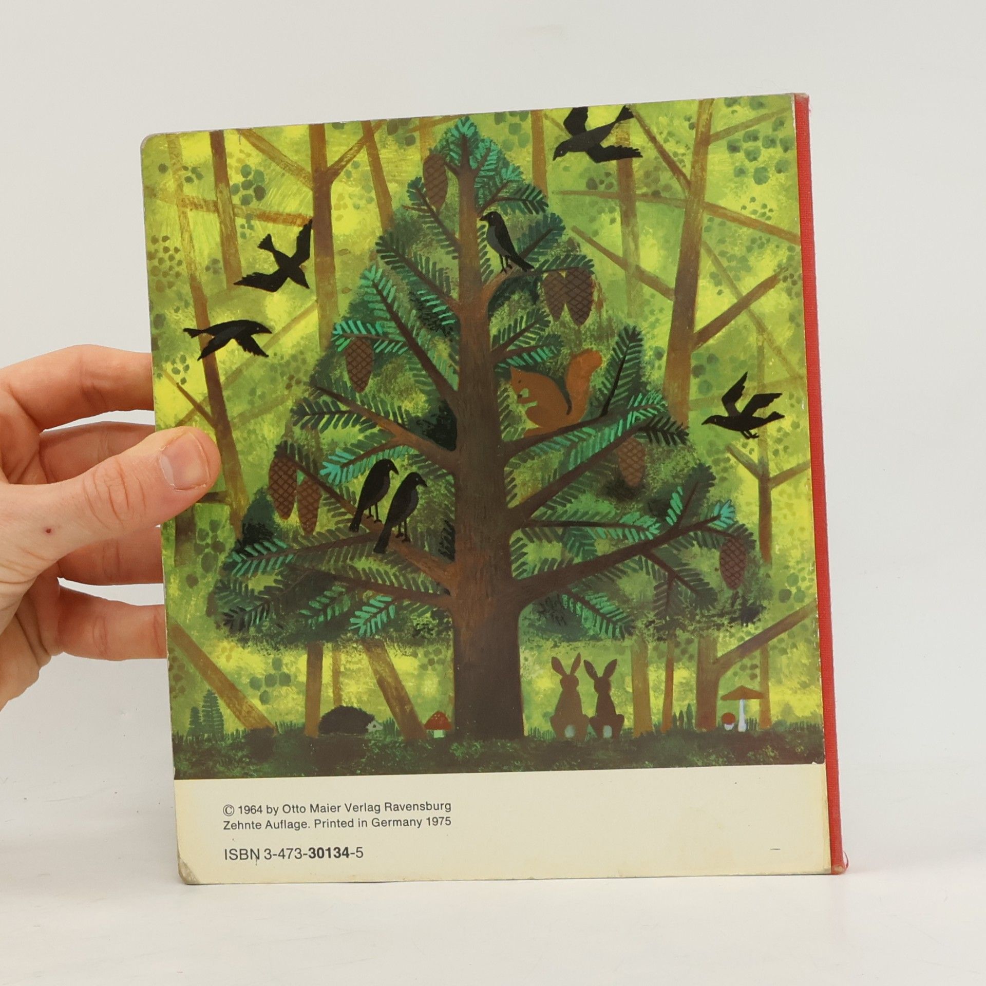 Hilde Heyduck-Huth Kommt in den Wald