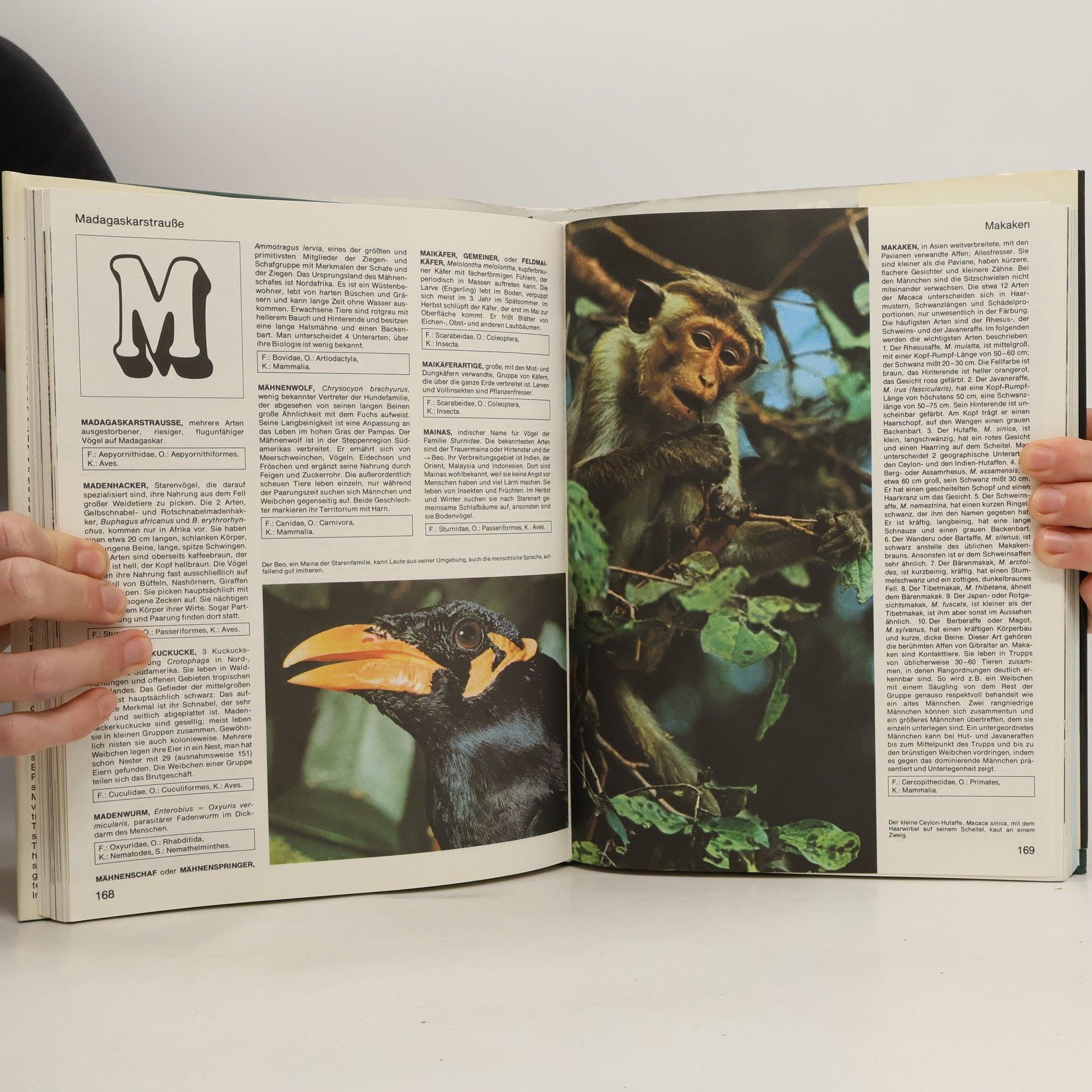 Various authors Lexikon der Tiere