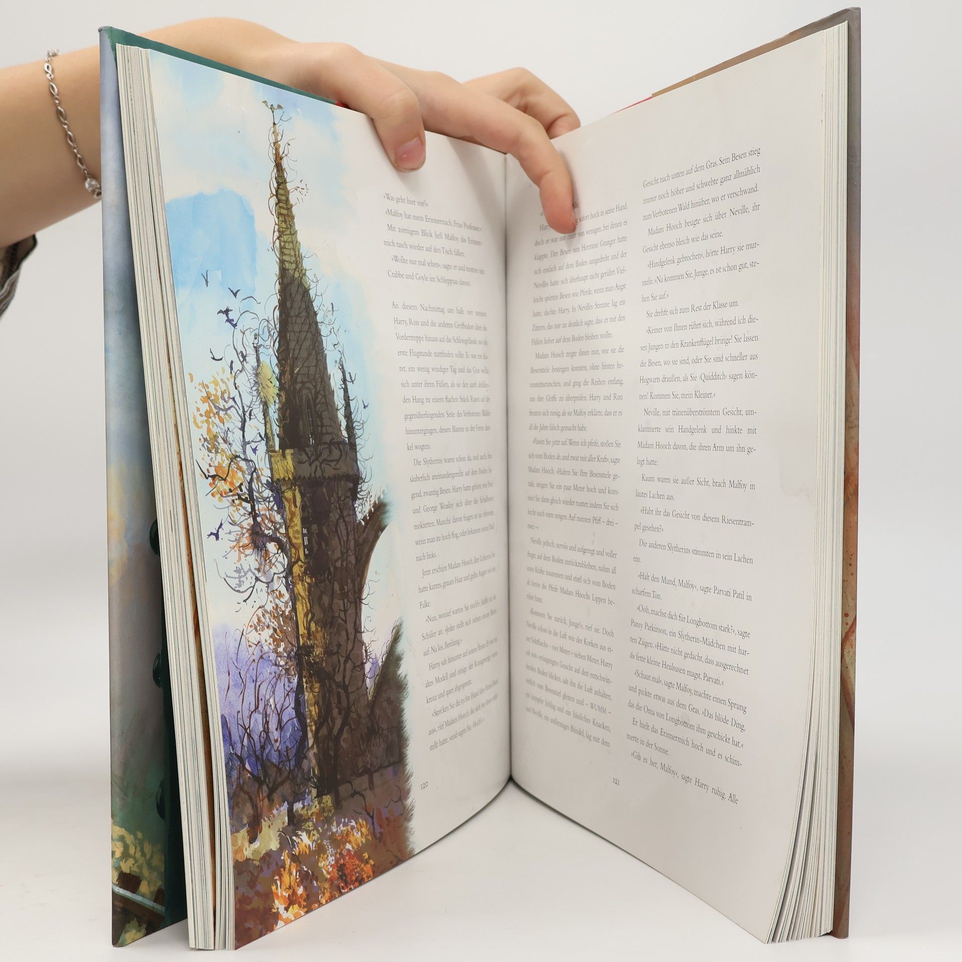 J. K. Rowling Harry Potter und der Stein der Weisen