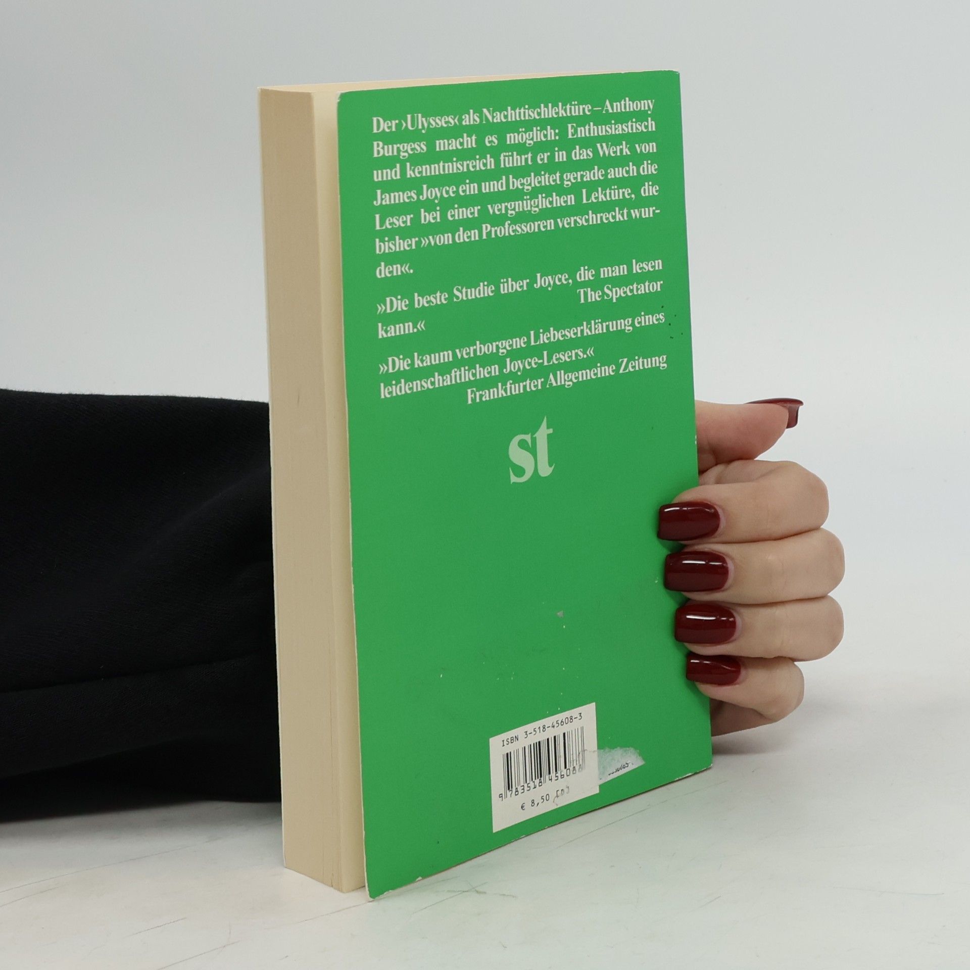 Anthony Burgess Joyce für jedermann