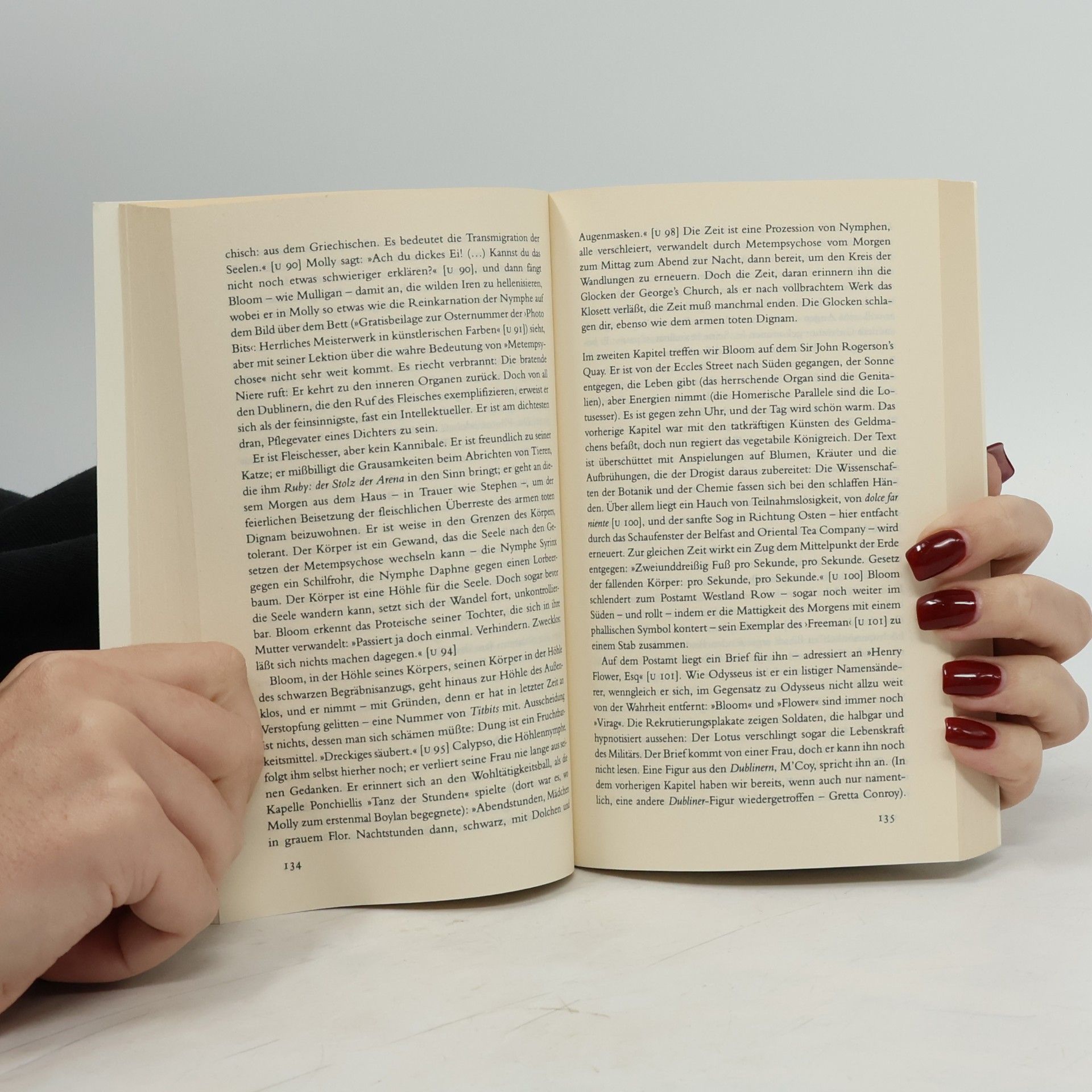 Anthony Burgess Joyce für jedermann